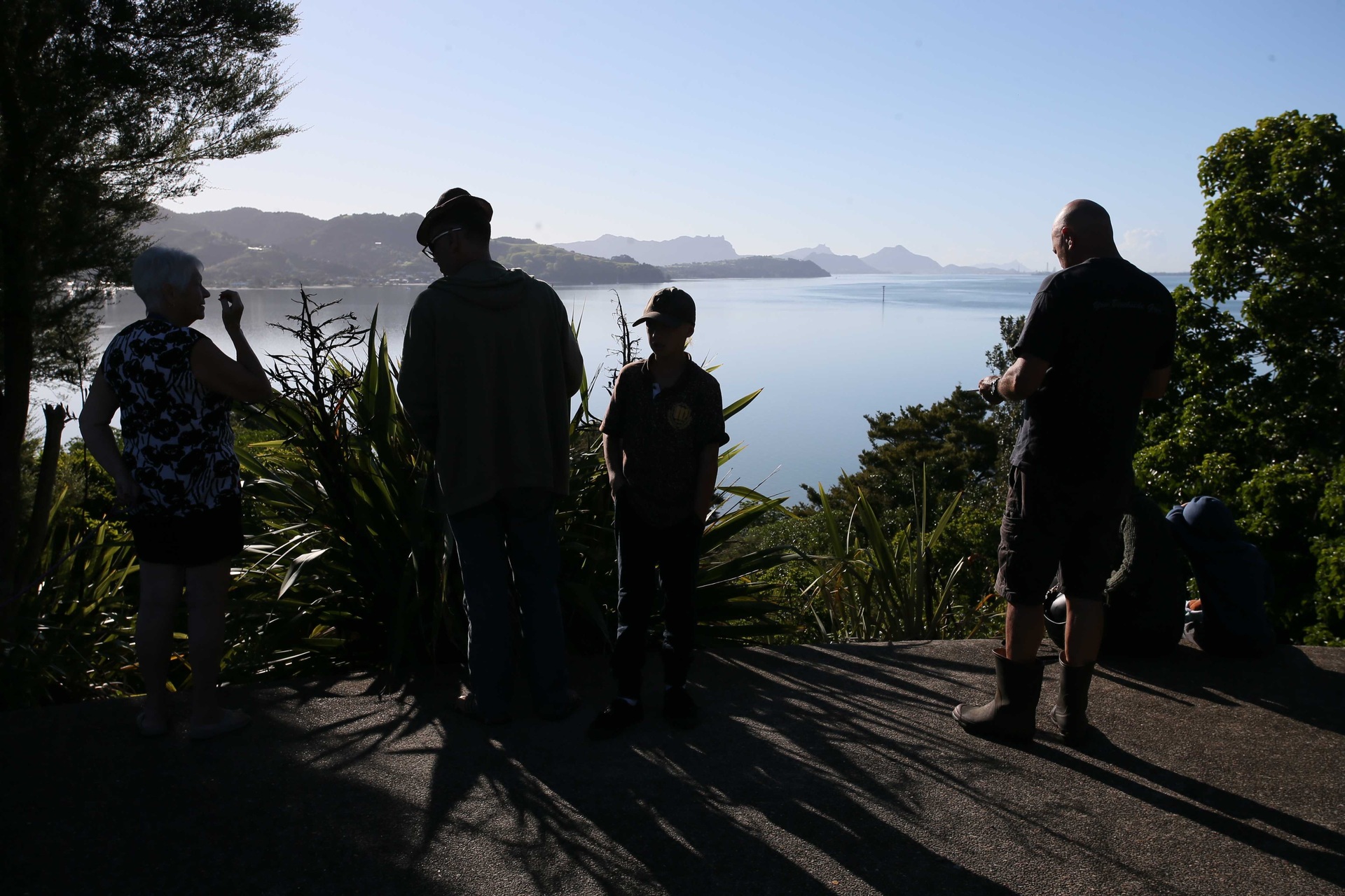 The lookout at Onerahi provided one of the safest, and best, viewing spots during yesterday's tsunami alert. Photo / Tania Whyte.