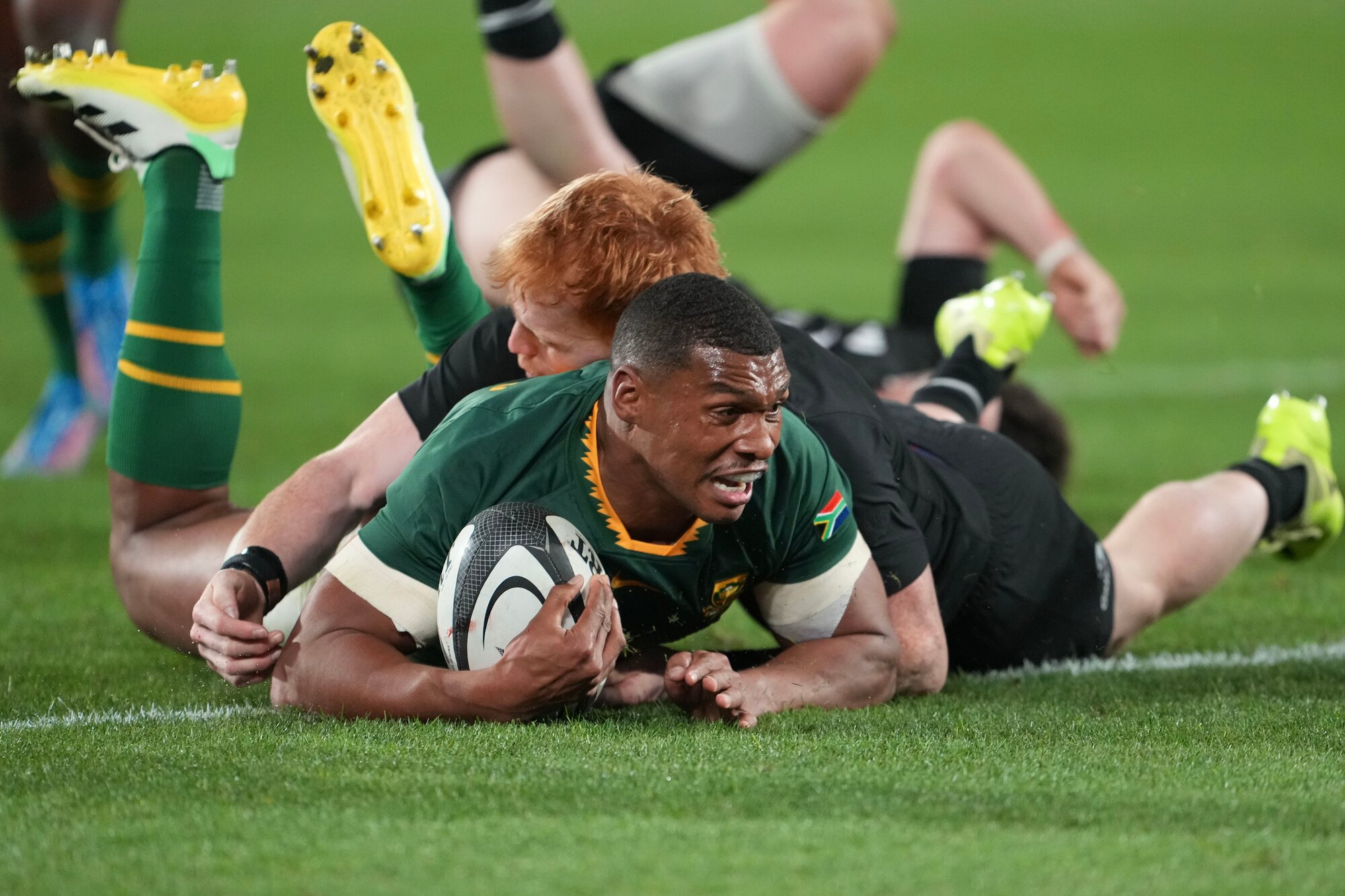 Damian Williamse scored for the Springboks against the All Blacks in Wellington. Photo / Photosport