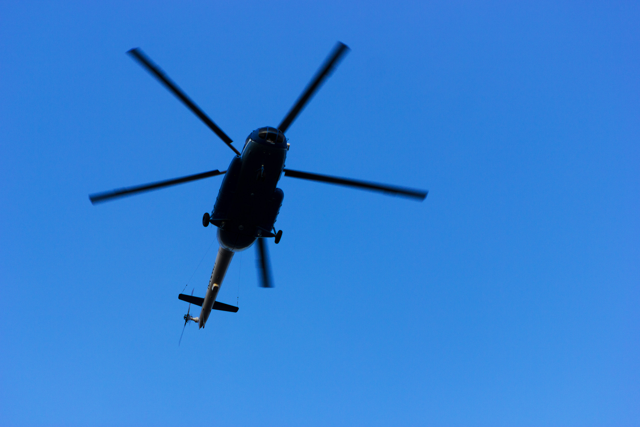 Frequent visitors in the sky above Waiheke. Photo / 123RF
