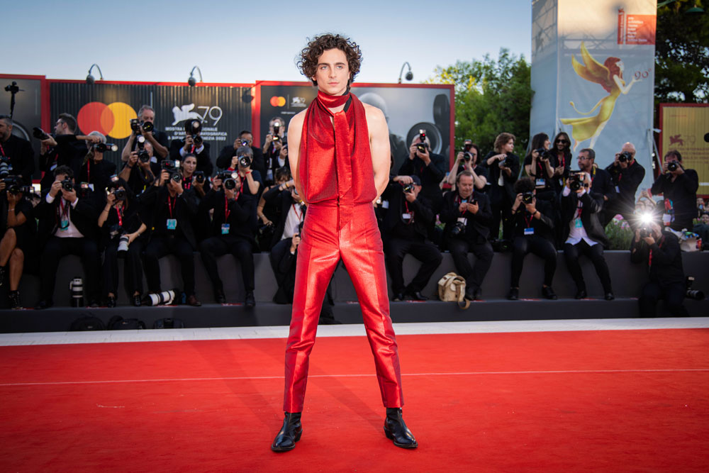 Timothee Chalamet has starred in Hollywood hits 'Dune', 'Bones and All' and 'Call Me by Your Name'. Photo / AP