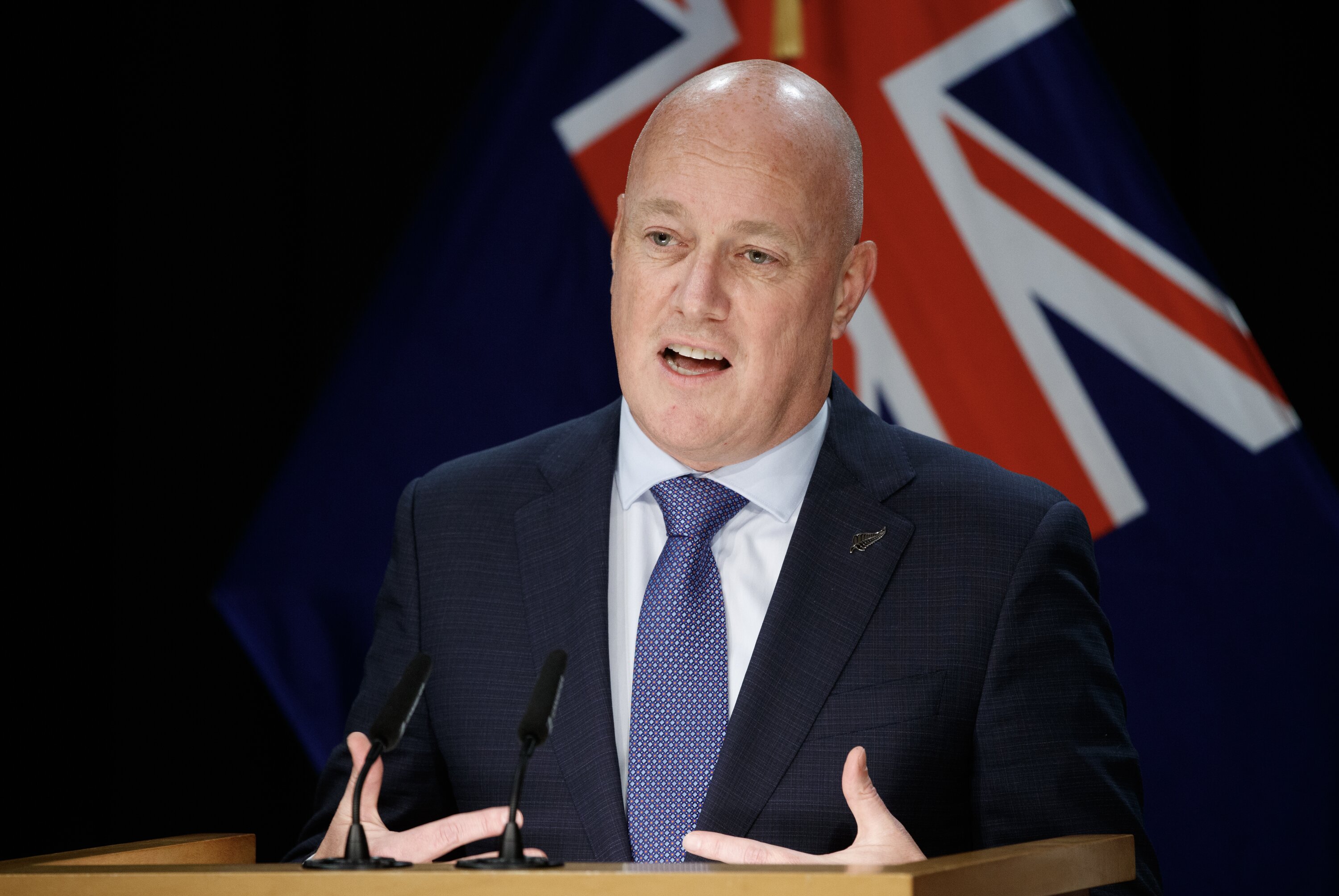 Prime Minister Christopher Luxon said everyone was entitled to the right to protest and he encouraged people taking part to be respectful and lawful. Photo / Mark Mitchell
