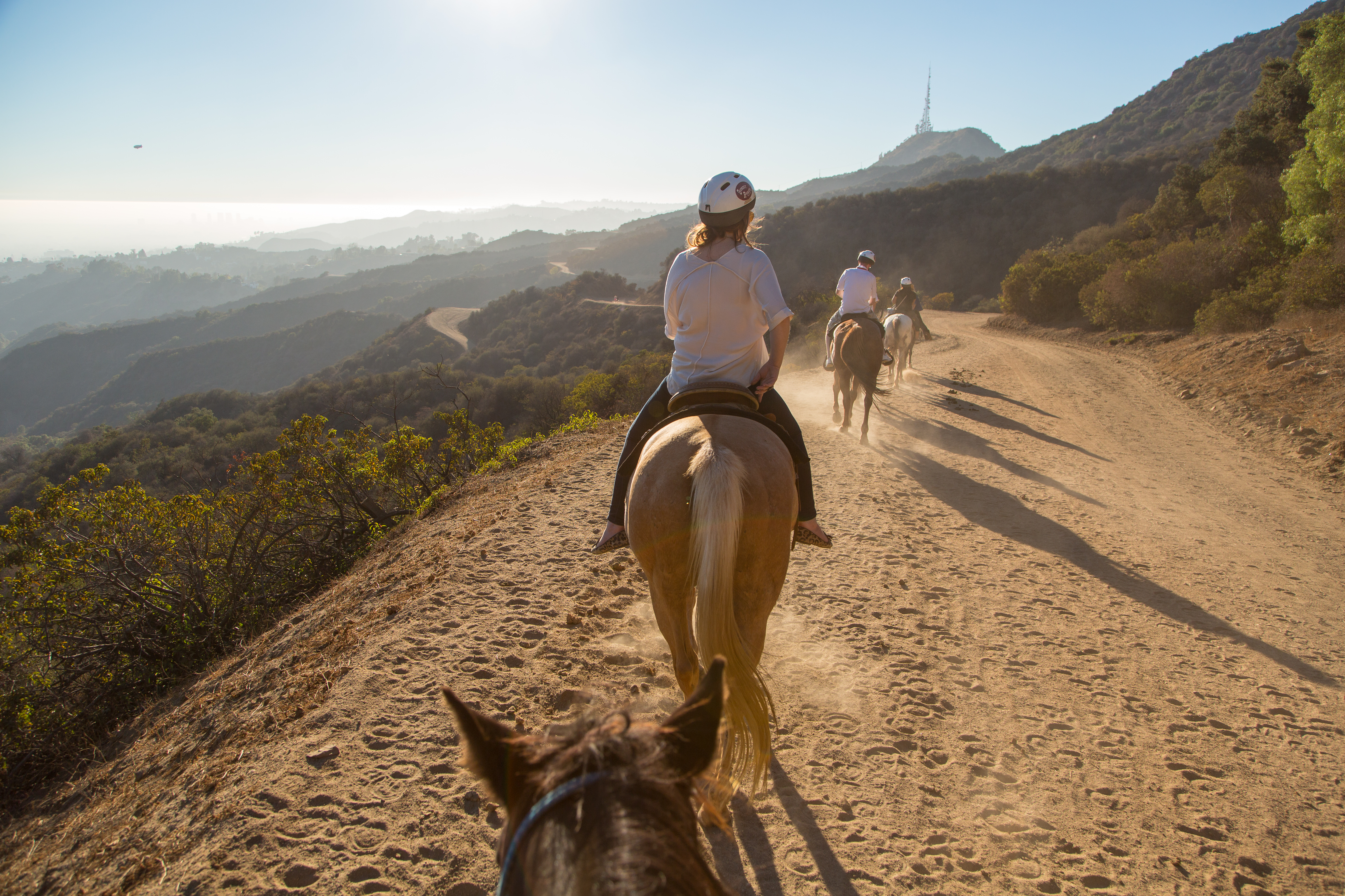 A horse ride from Sunset Ranch strides through the Hills and under the Hollywood sign. Photo / Supplied