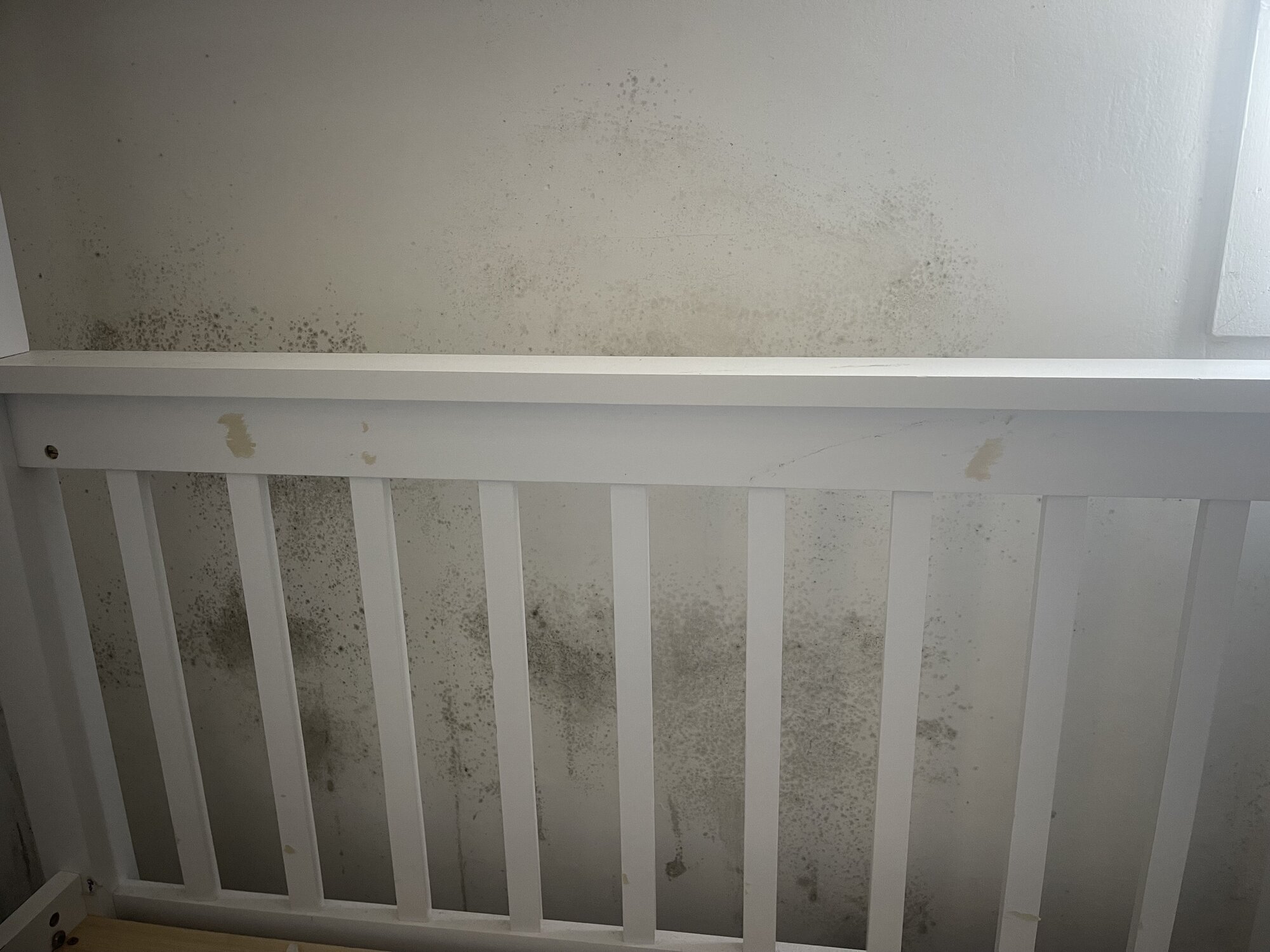 Black mould covered a wall behind a child's cot.