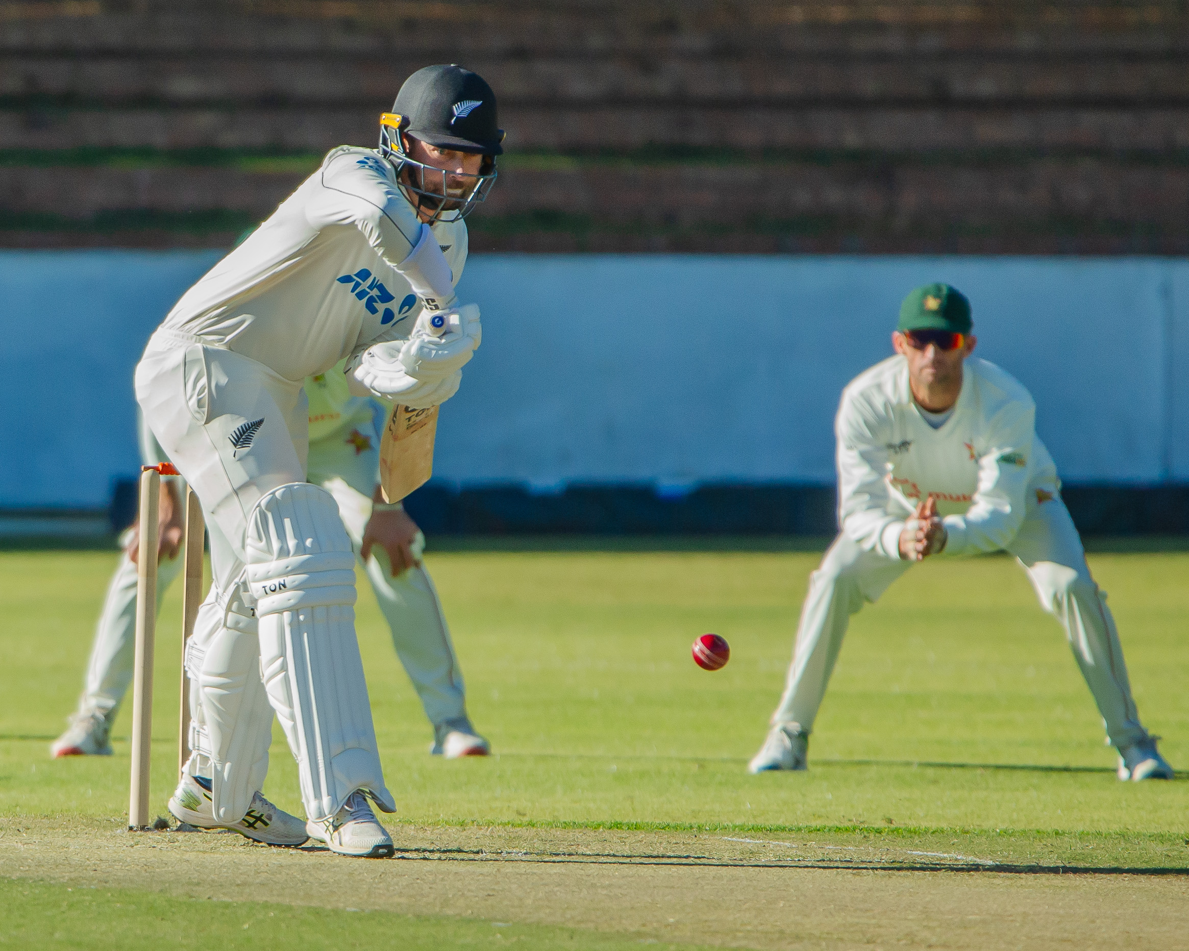 Devon Conway added an unbeaten 51 on day one of the first test against Zimbabwe.  Photo / Zimbabwe Cricket