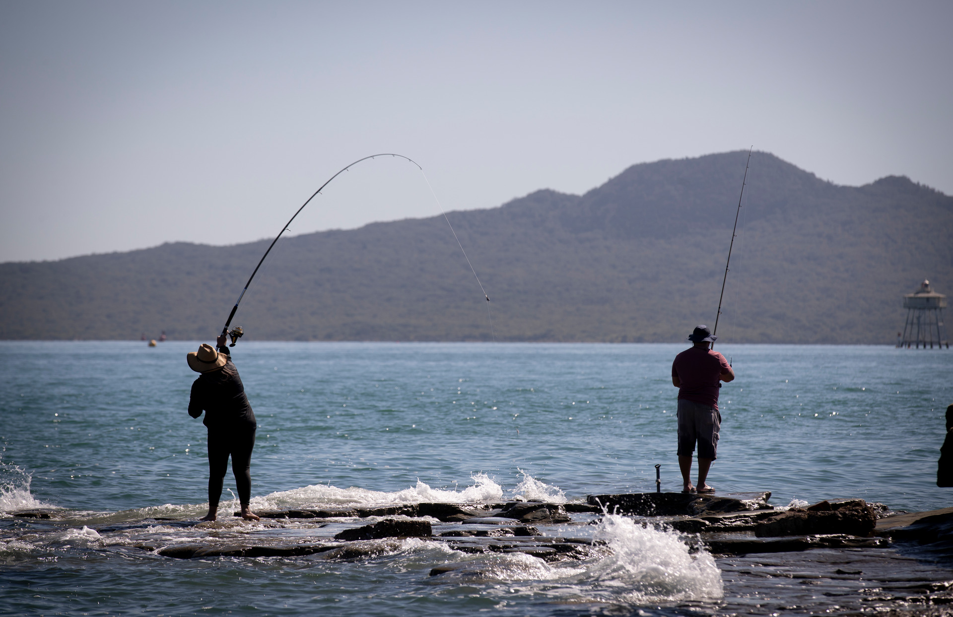 Critics say new amendments to a bill will undermine years of collaboration to ensure the gulf is protected and restored. Photo / Dean Purcell