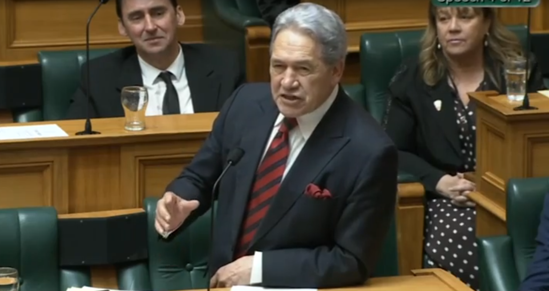 Winston Peters and his colleague Shane Jones were irked by a speech by Te Pāti Māori MP Tākuta Ferris.