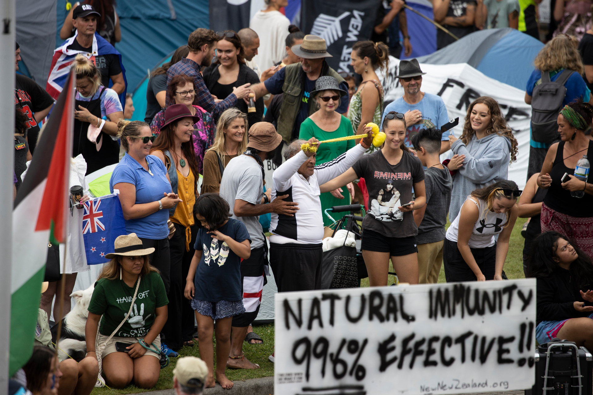 Protesters on the lawn of Parliament in Wellington. Photo / George Heard