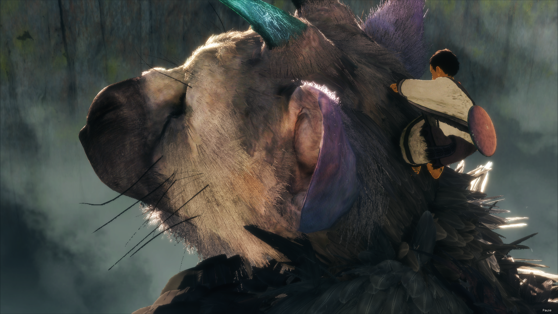 Review: 'Last Guardian' proves well worth long wait – East Bay Times