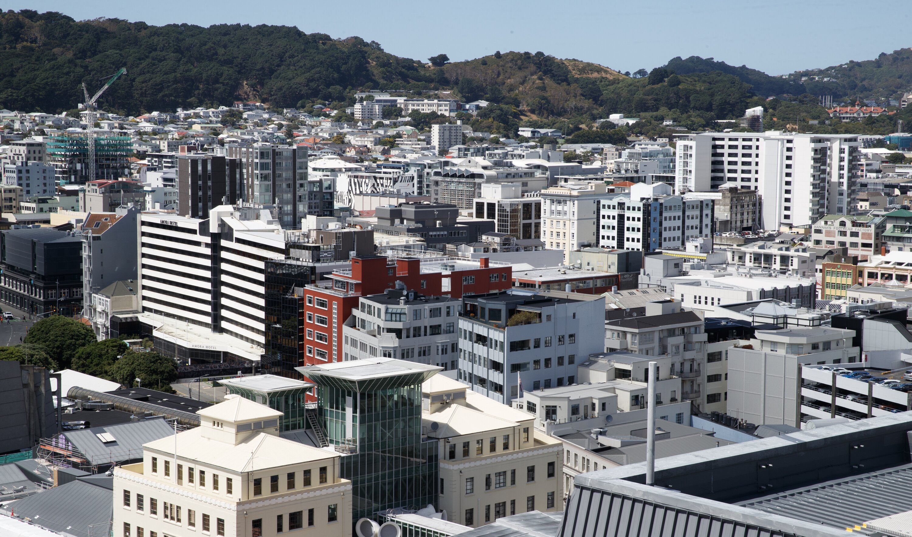 The Government is winding down a loan scheme and pilot scheme providing free advice for owners to help them understand their options and collectively agree on a remediation plan. Photo / Mark Mitchell