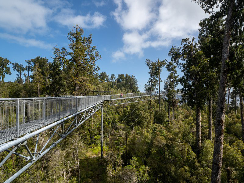 Treetop Walk is an exciting family-friendly activity in Hokitika on the West Coast. Photo / Supplied