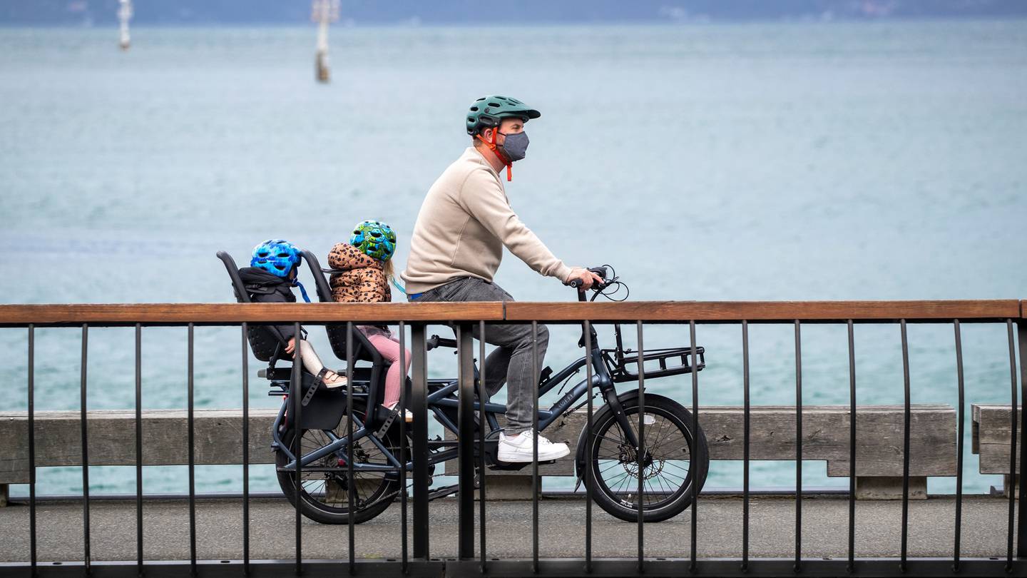 A man taking his children for a bike a ride along Wellington's waterfont. Photo / Mark Mitchell