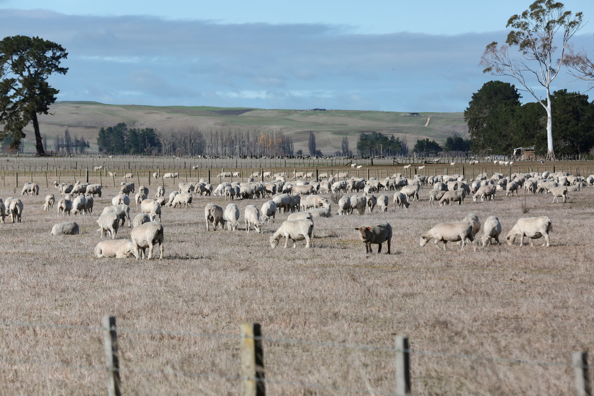 Parts of Hawke's Bay, such as the central plains, are still wary of hot days and strong winds excerbating low rainfall. Photo / File
