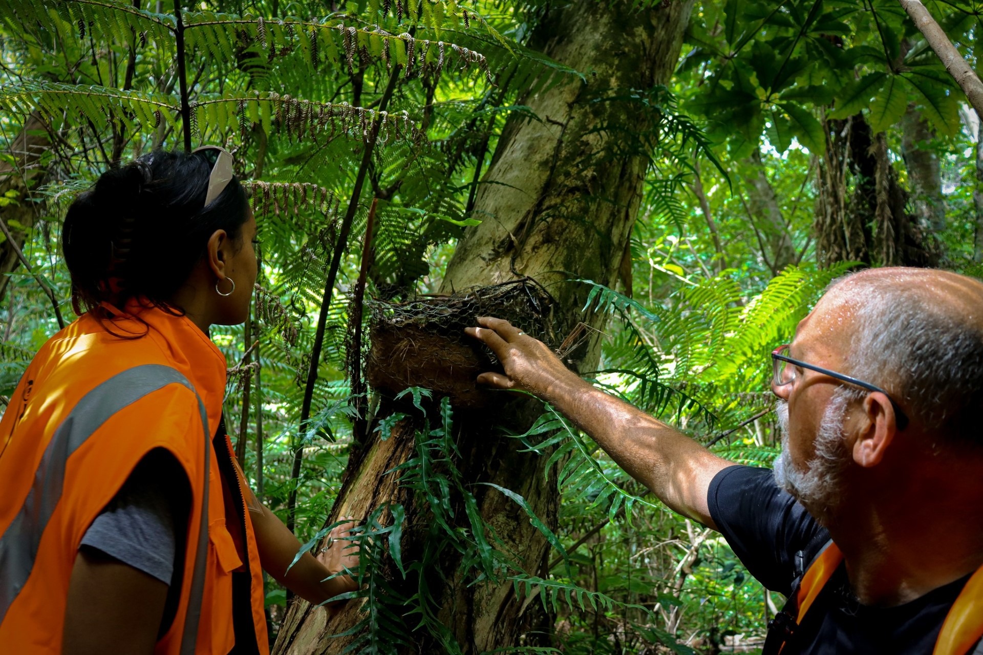 Some of the Ngāti Kuri Taiao team at work in the forest.