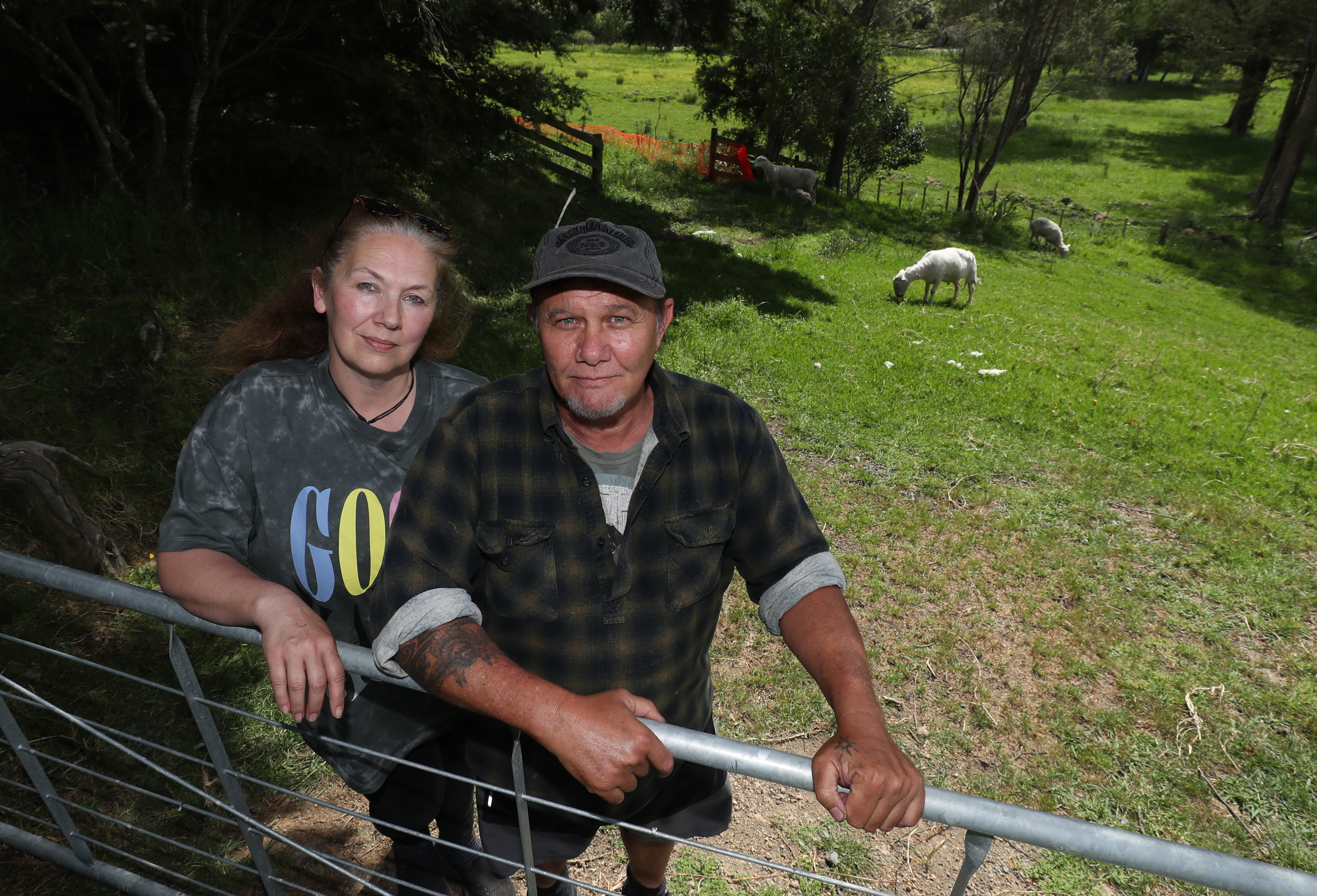 Otaika couple Kim Booth and Gabriel Henry are still reeling from shock after they lost 13 sheep to dog attacks. Photo / Michael Cunningham