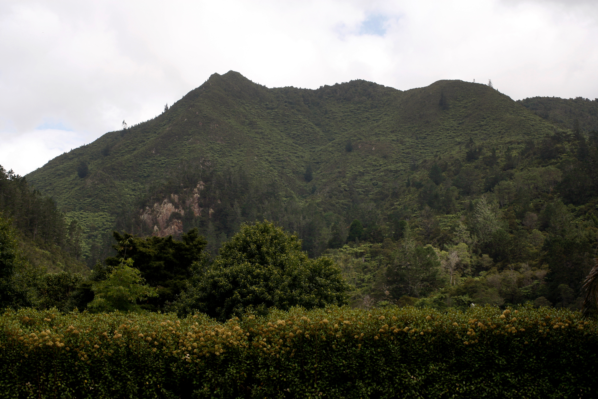 Karangahake Range, Coromandel, once a gold mine and now Department of Conservation land. Photo / Richard Robinson