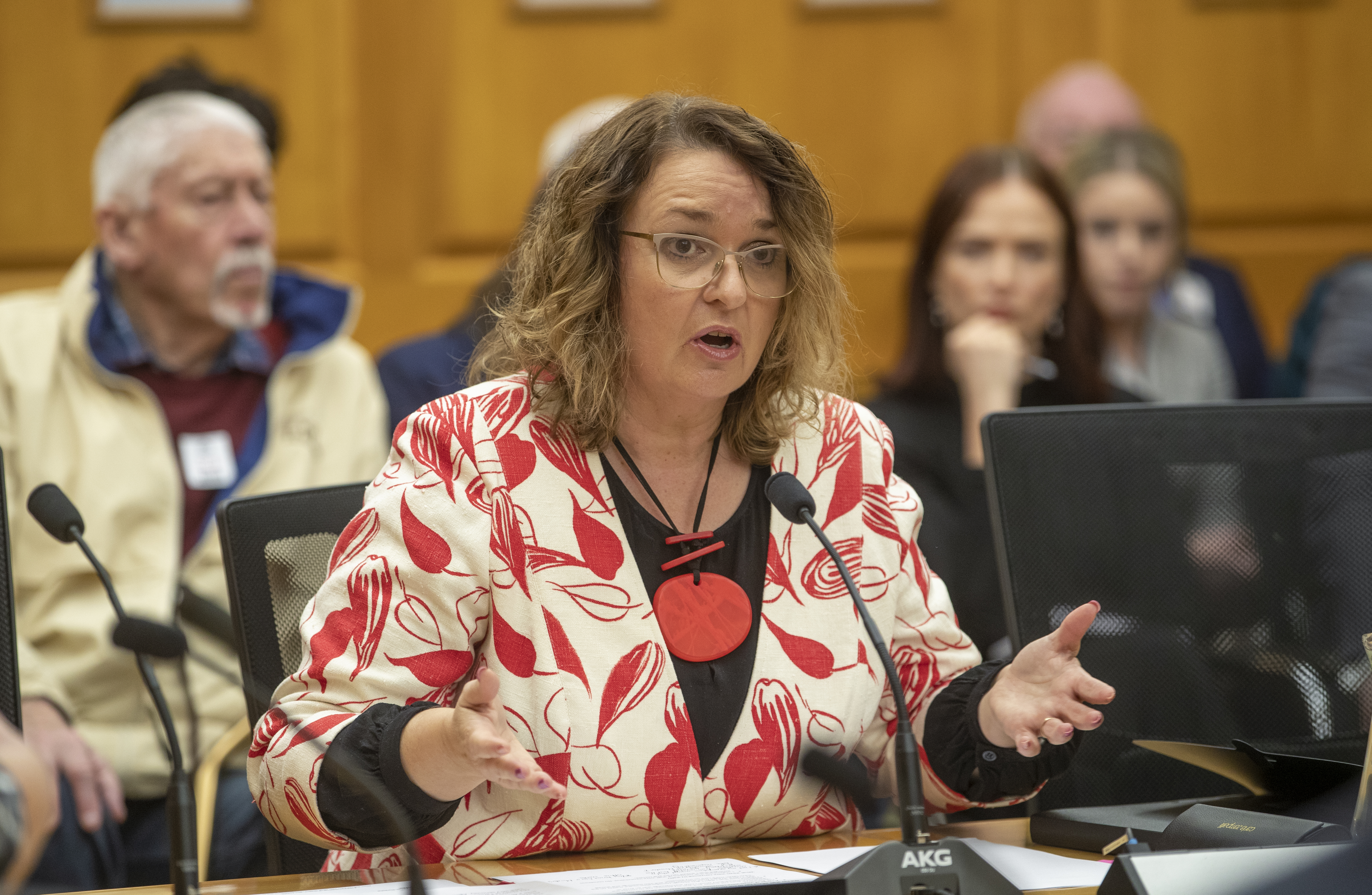 Education Minister Jan Tinetti during her appearance before the privileges committee this month. Photo / Mark Mitchell