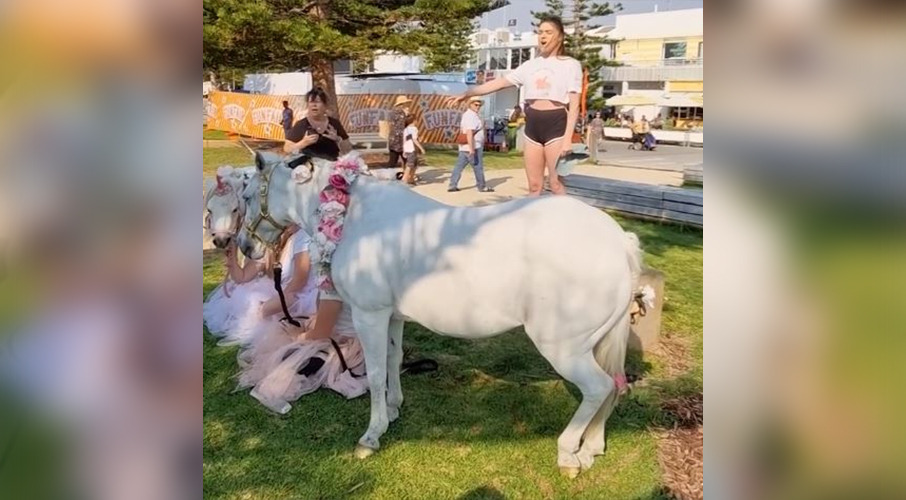 Australian vegan activist Tash Peterson protests at Nike store - NZ Herald