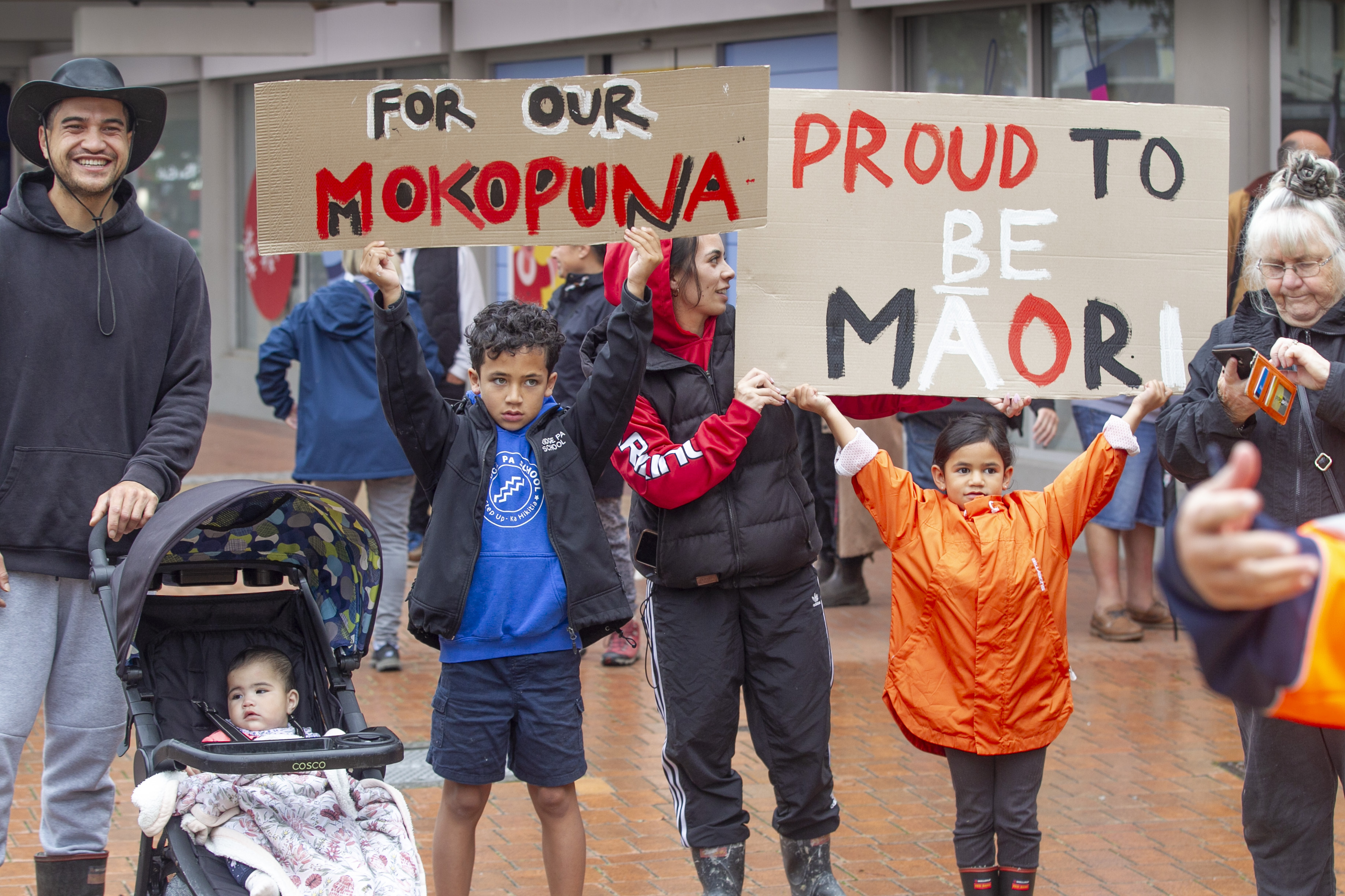 Children hold signs at the protest over the Government's marginalisation of Māori language and health. Photo / Warren Buckland
