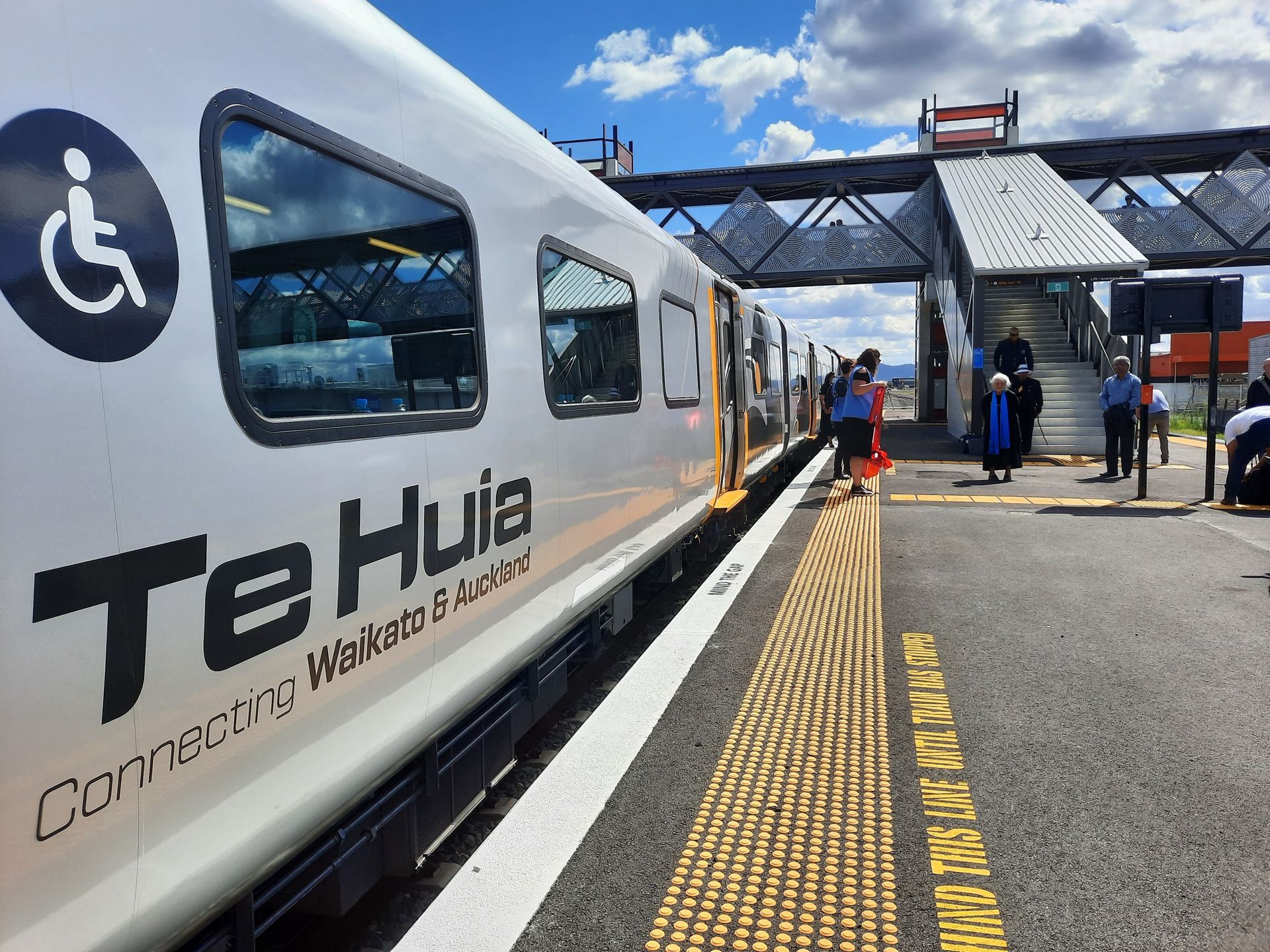 Te Huia has been banned from travelling north of Papakura. Photo / Danielle Zollickhofer