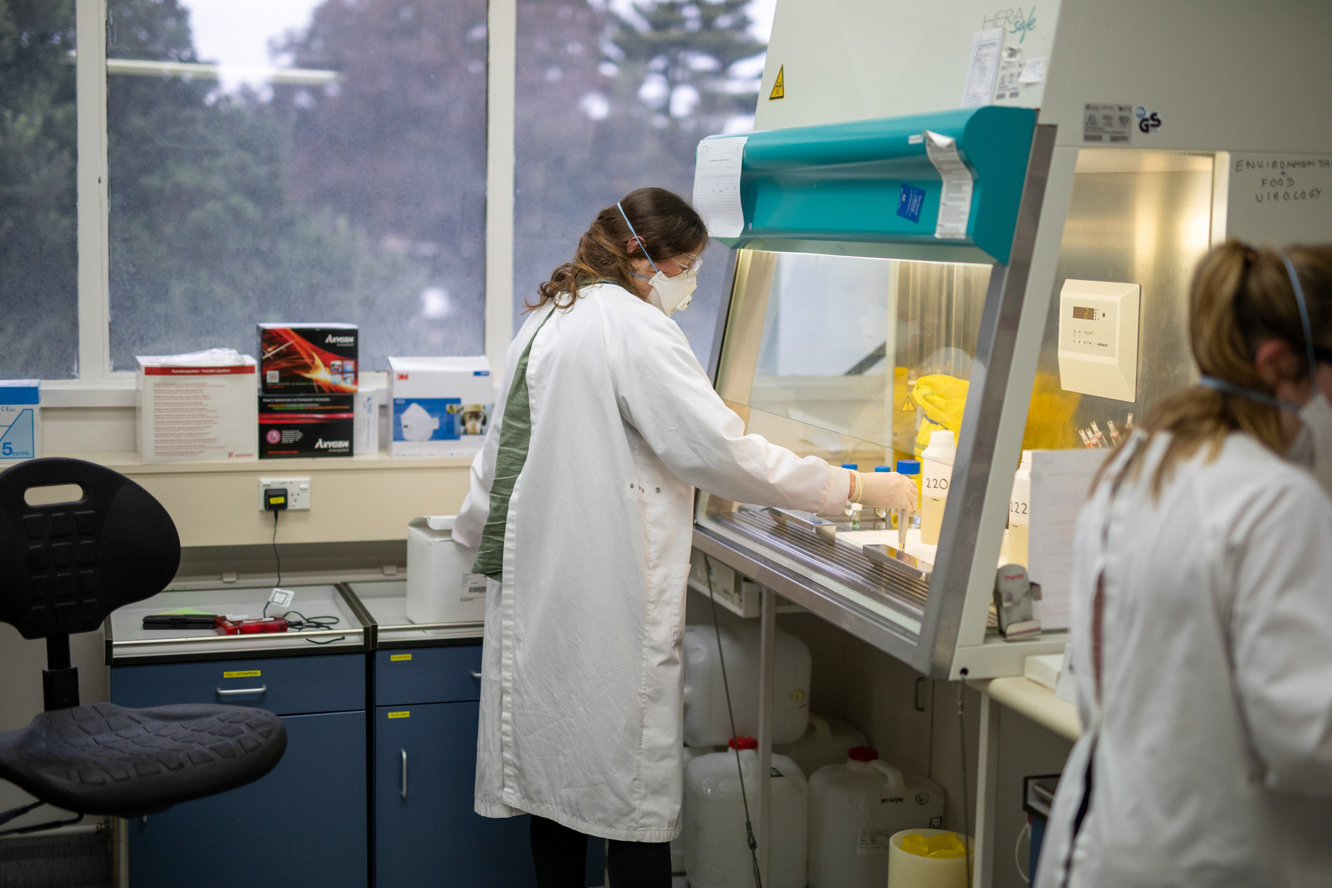 Researchers at ESR's Wellingon lab test wastewater samples from managed isolation facilities. Photo / Dom Thomas