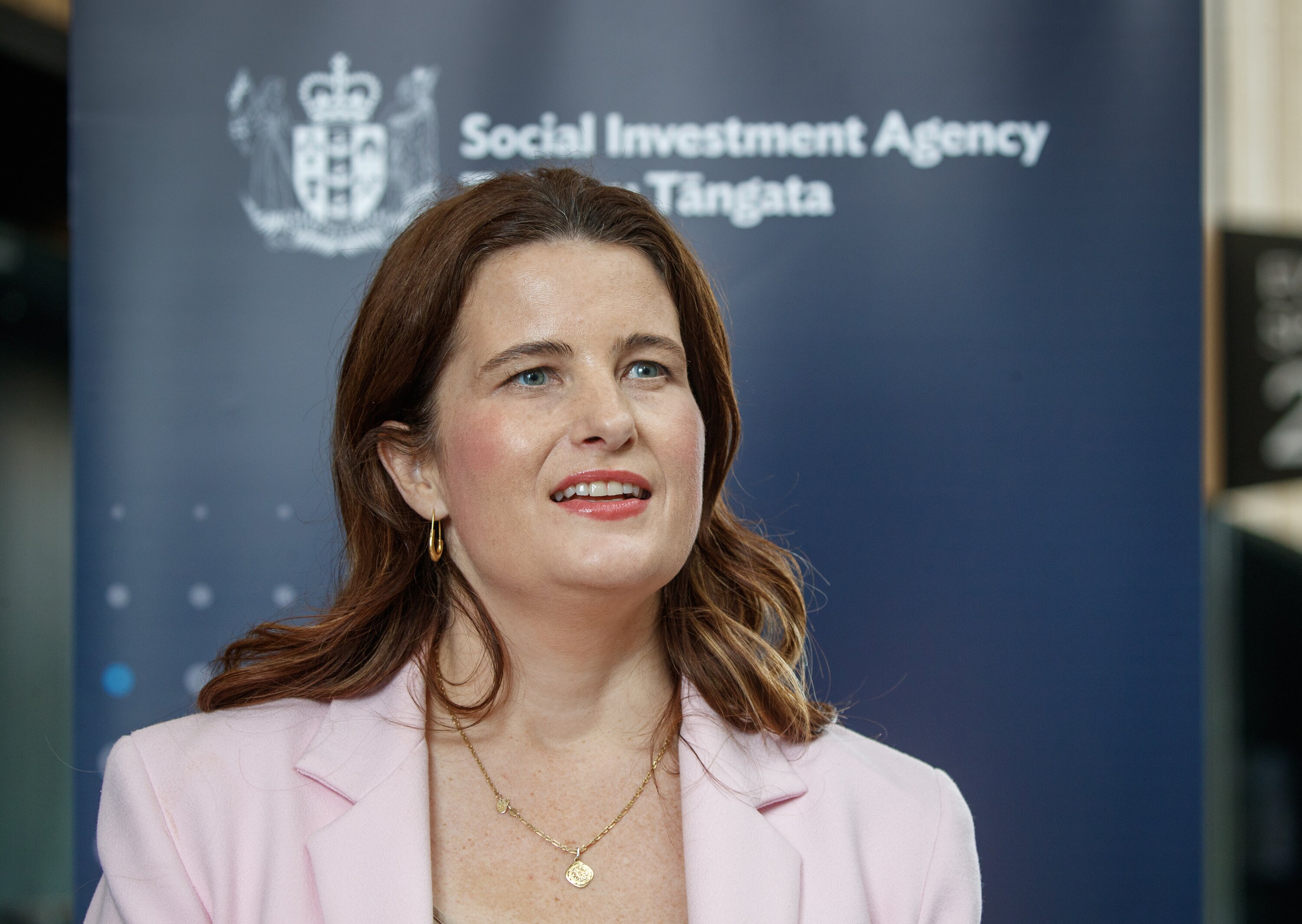 Social Investment Minister Nicola Willis wants to see philanthropic support for her agency's fund. Photo / Mark Mitchell