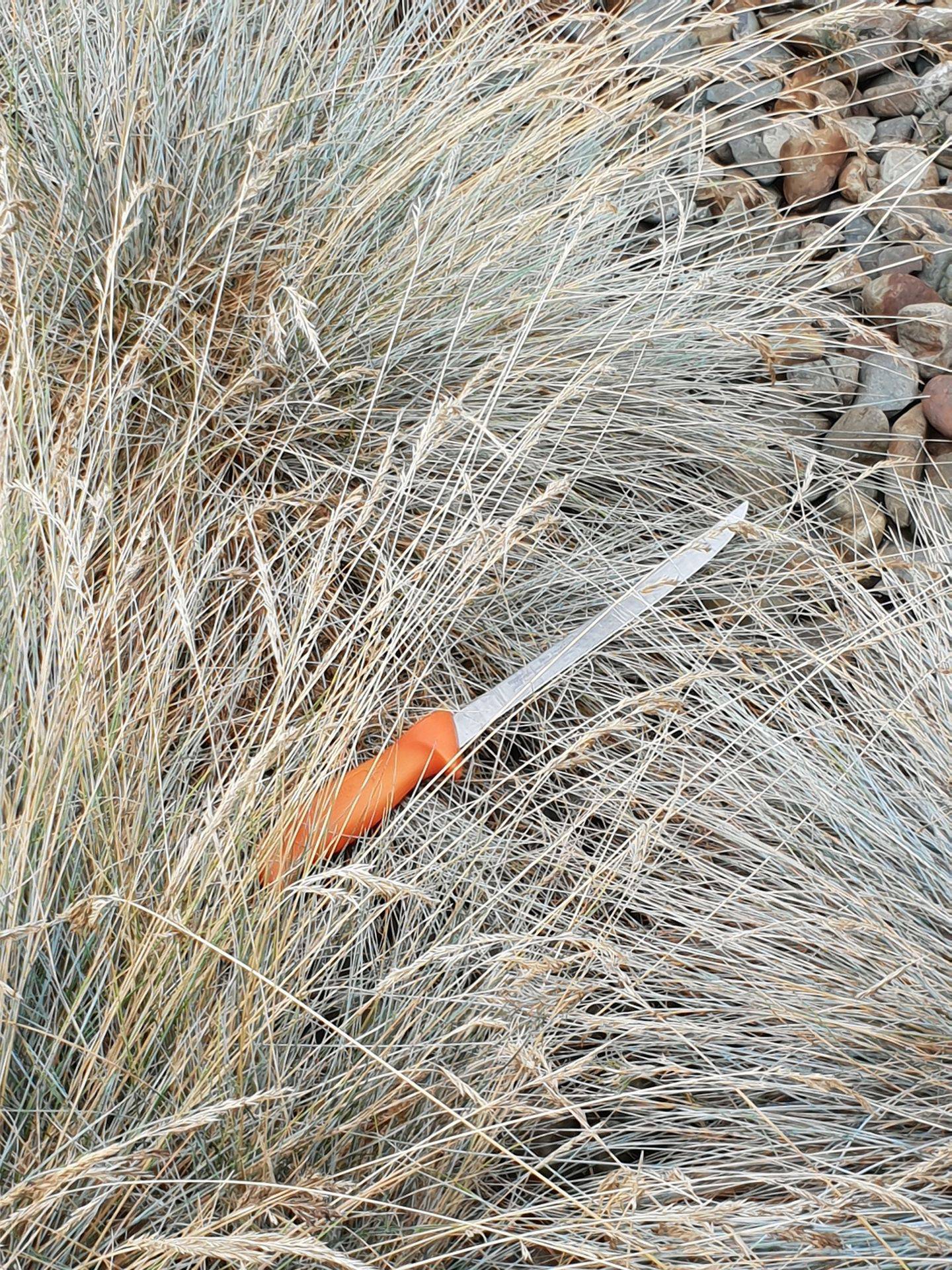 A homeowner living nextdoor to an abusive state housing family found a knife discarded in grass after chasing a meth-crazed intruder who was trying to smash his way inside. Photo / Supplied