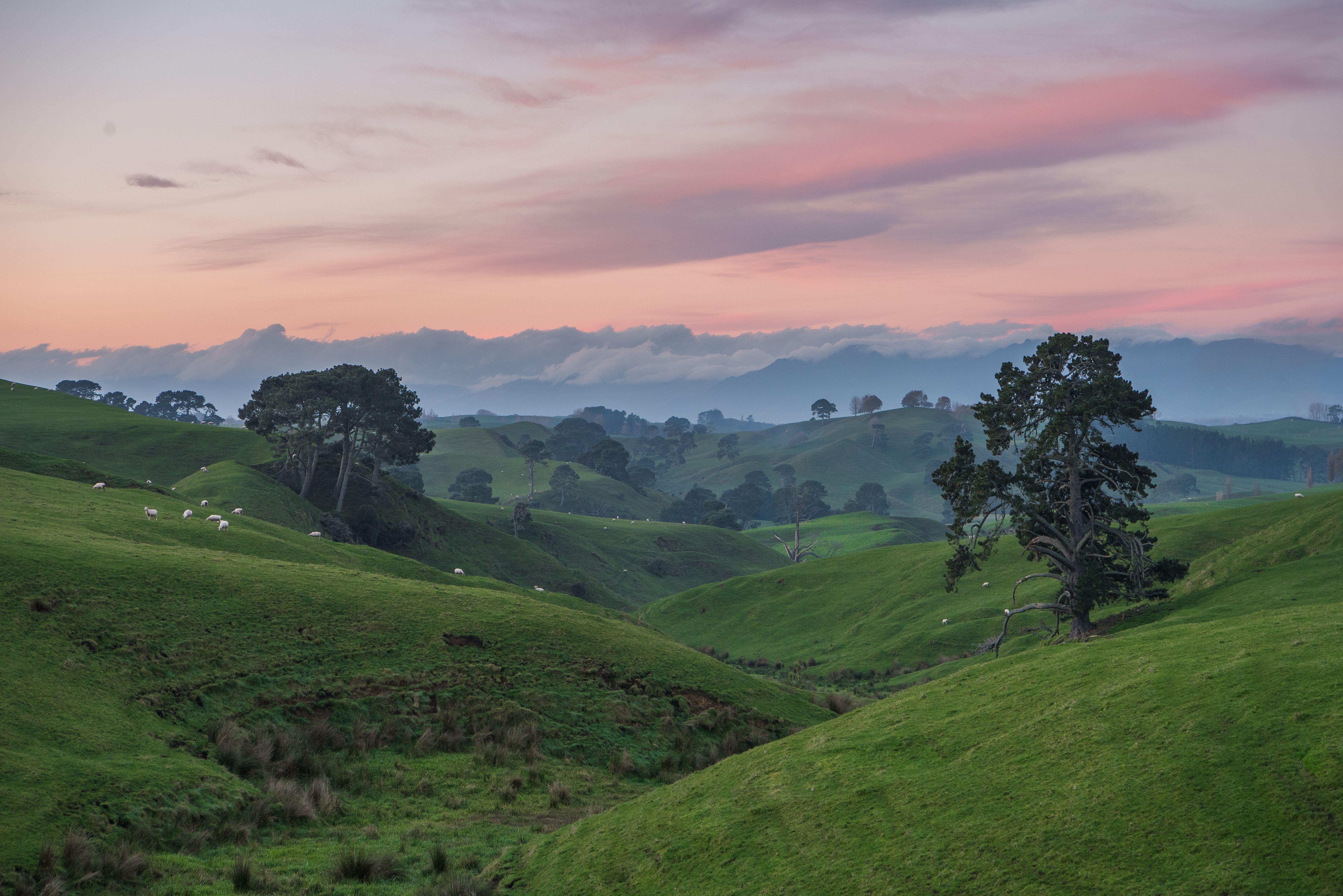 Road trips are an essential part of any Kiwi summer but make sure you enjoy the journey as much as the destination. Photo / Supplied
