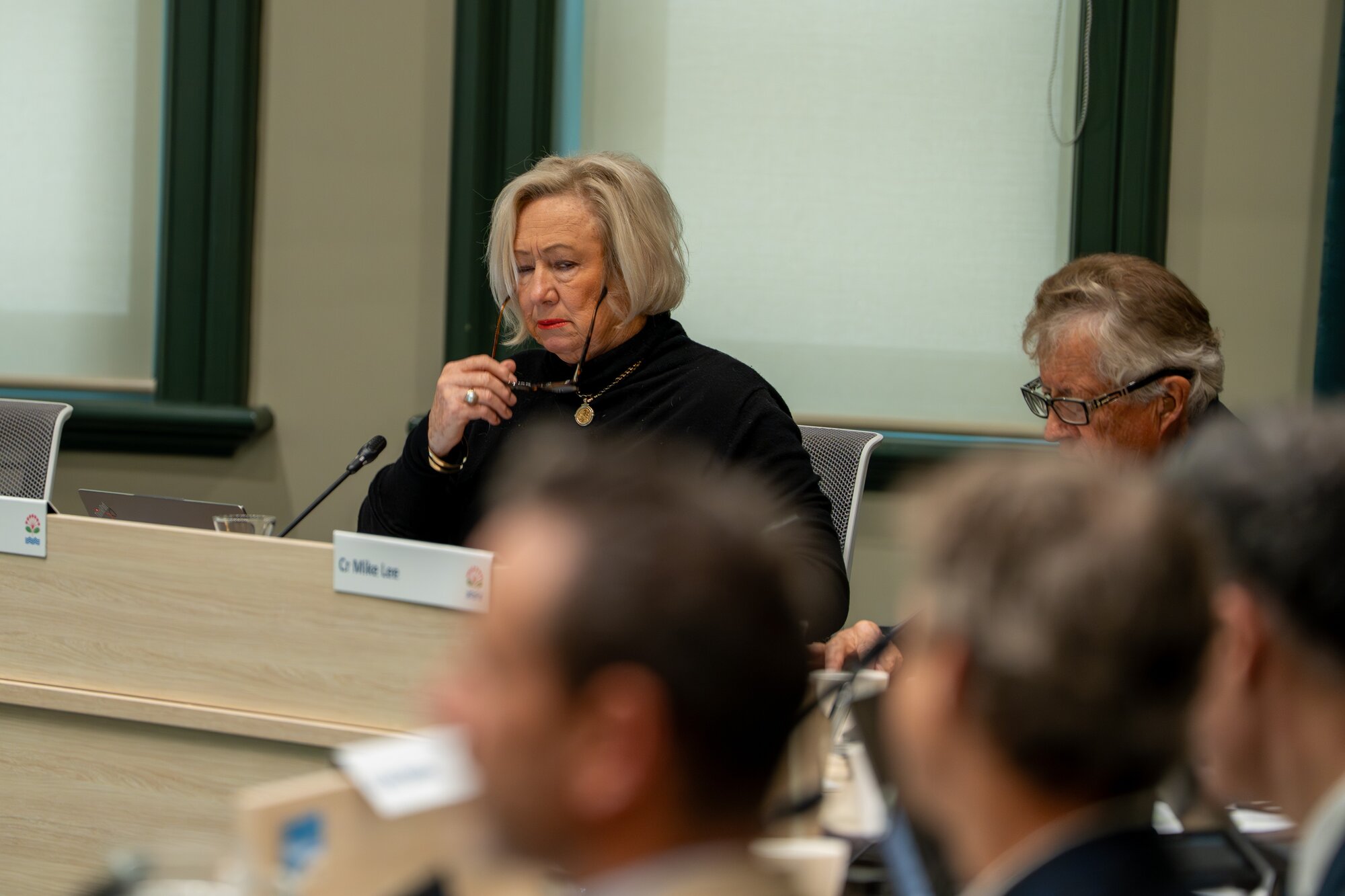 Christine Fletcher at the Auckland Council housing density zoning debate. Photo / Corey Fleming 