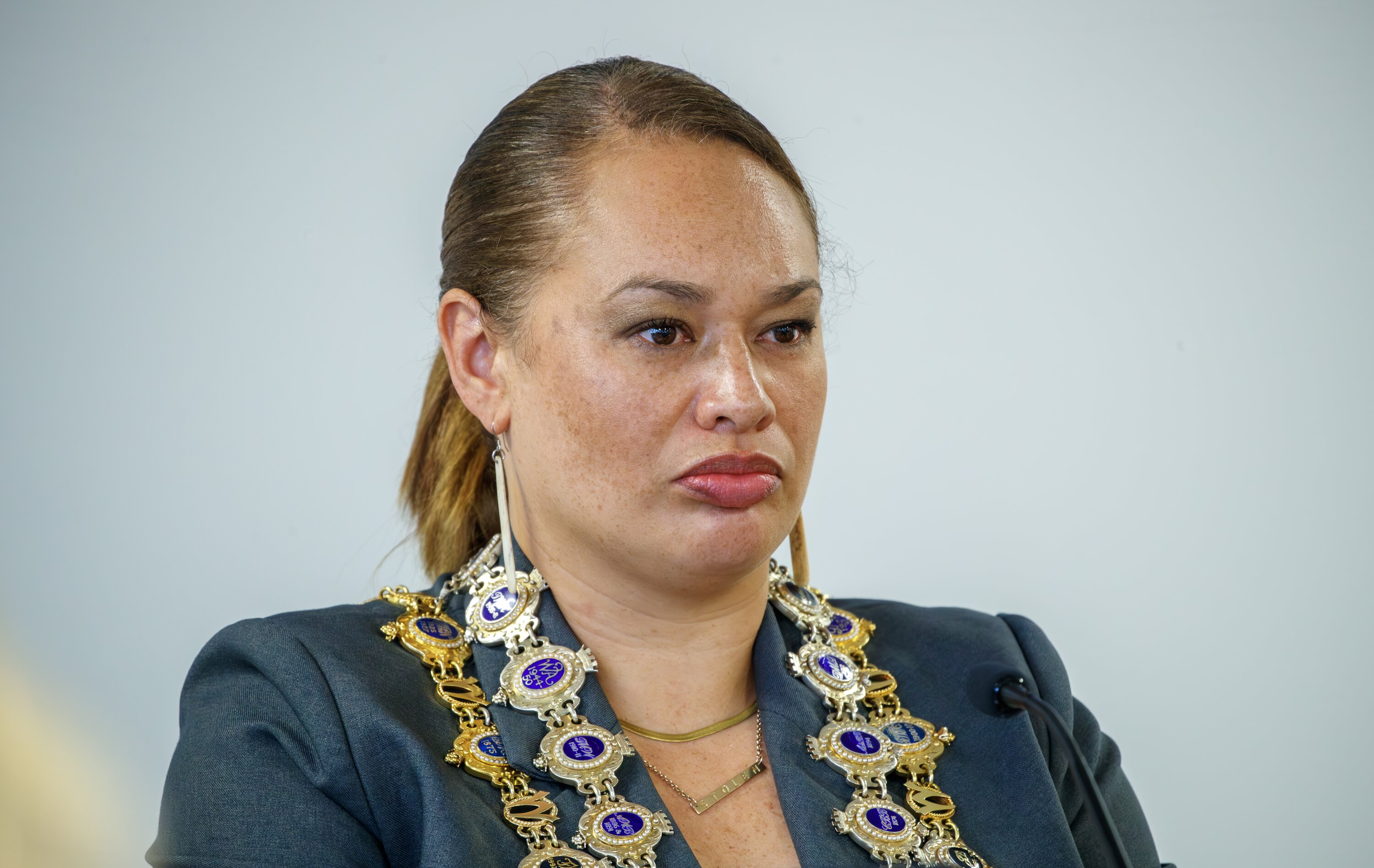 Wellington mayor Tory Whanau expressed her opposition to the Māori wards bill at a select committee on Tuesday. Photo /  Mark Mitchell