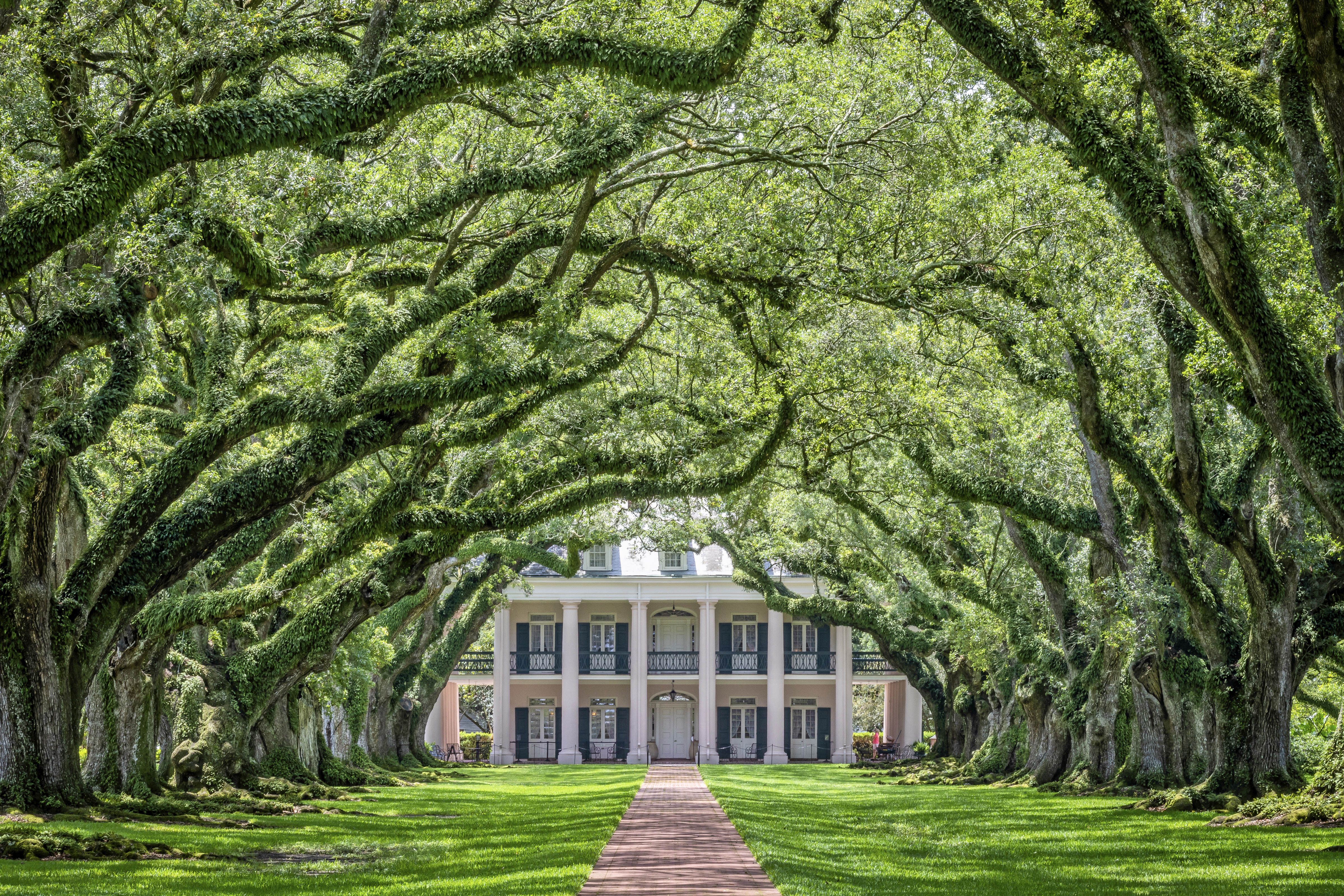 Book a tour to Oak Alley, a former sugar plantation. Photo / Louisiana Office of Tourism