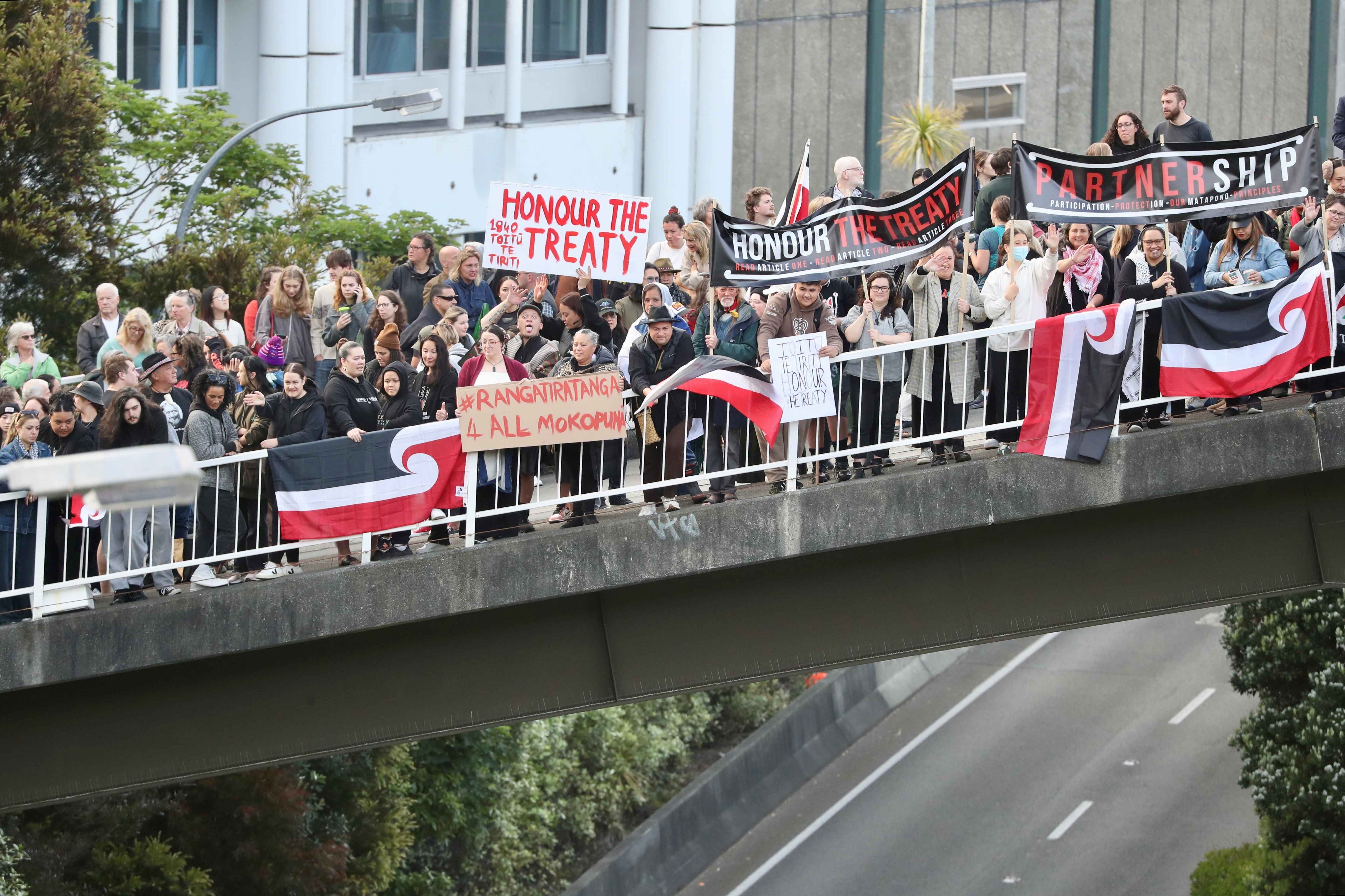 Protesters on Aurora Bridge in Wellington. Photo / Mark Mitchell