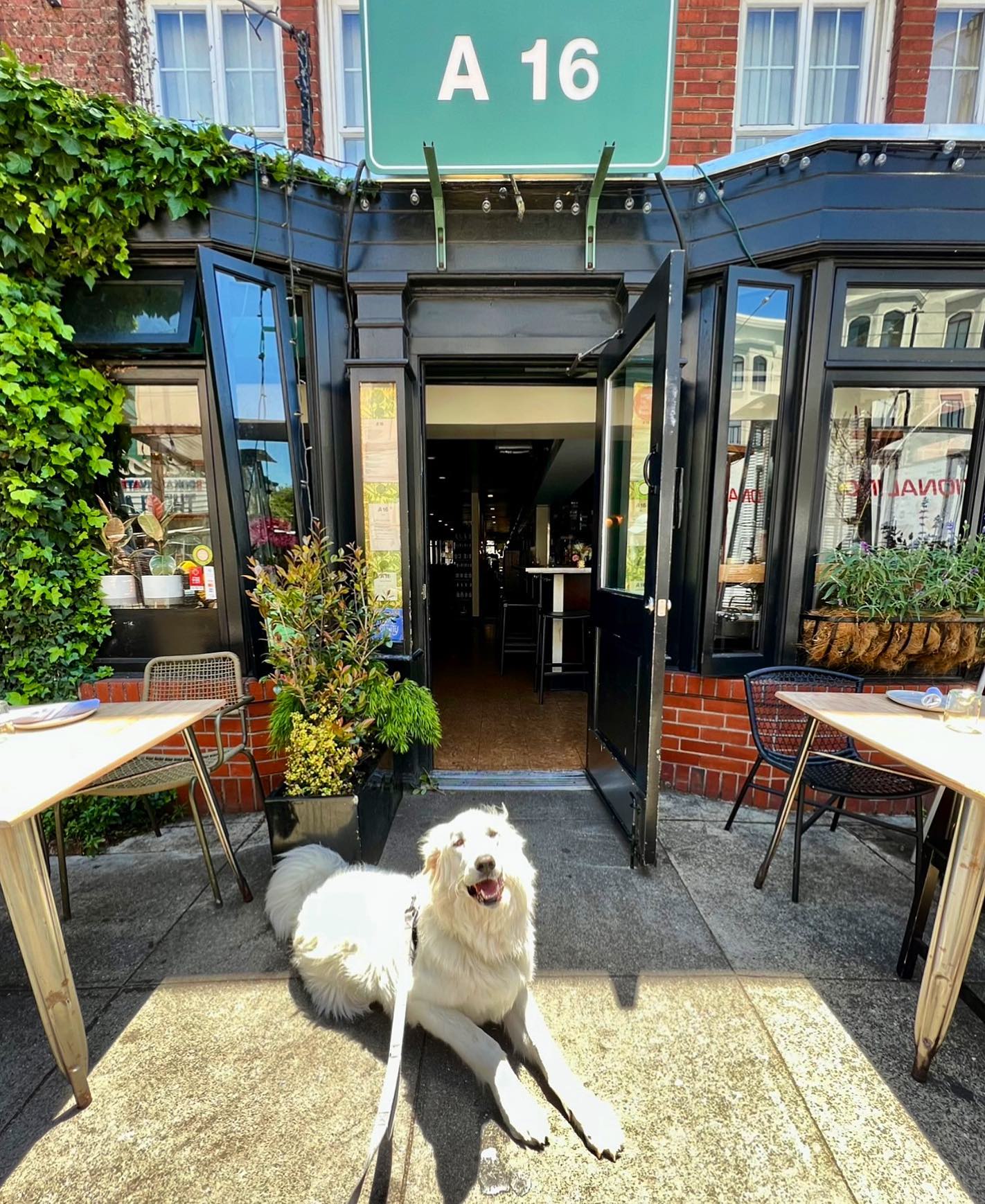 San Francisco’s A16 specialises in Southern Italian wines and Napoli pizza. Photo / Instagram, @a16sf