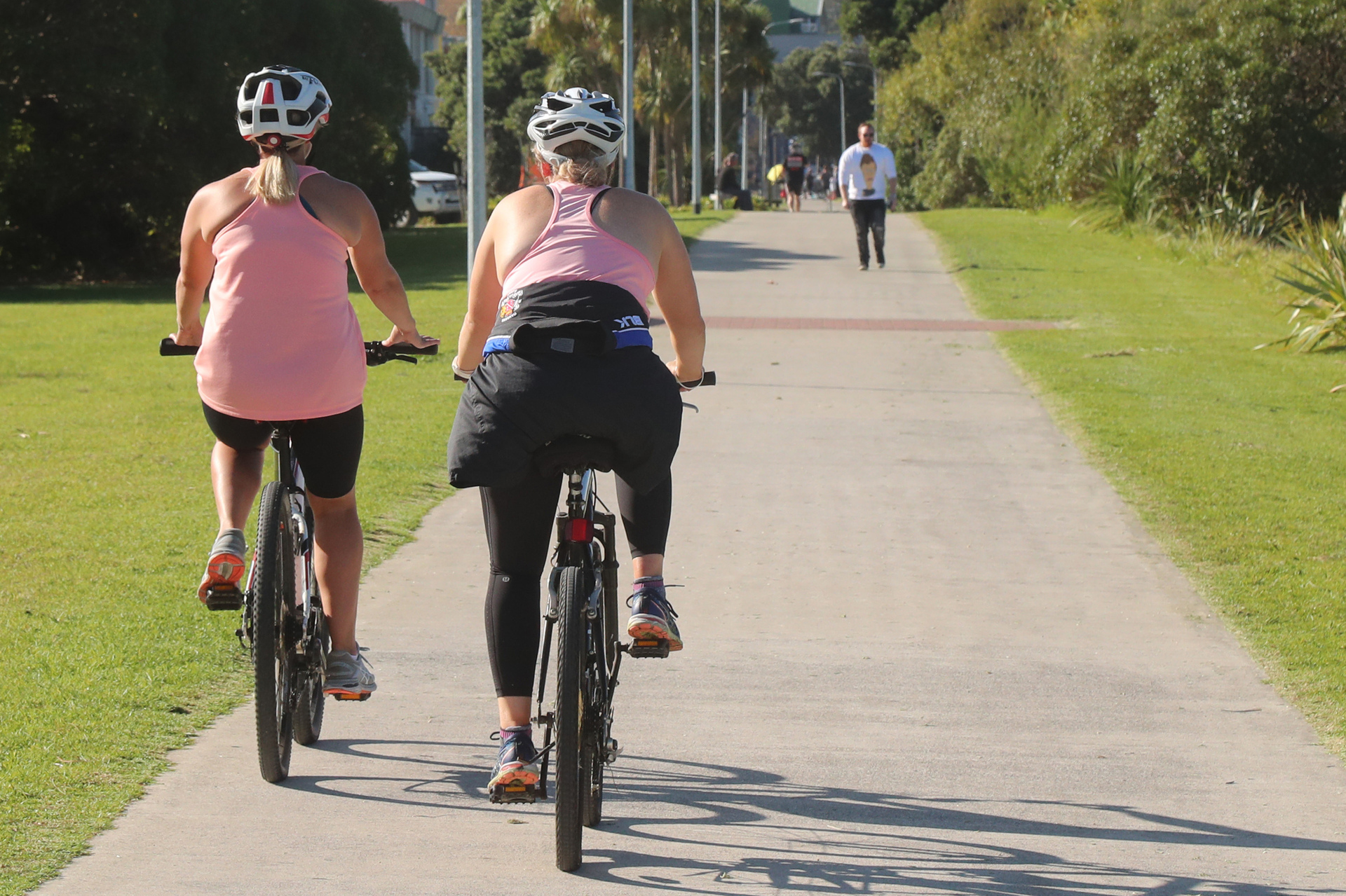 Meola Rd bike path continues to be clogged with illegally parked cars. Photo / 123rf
