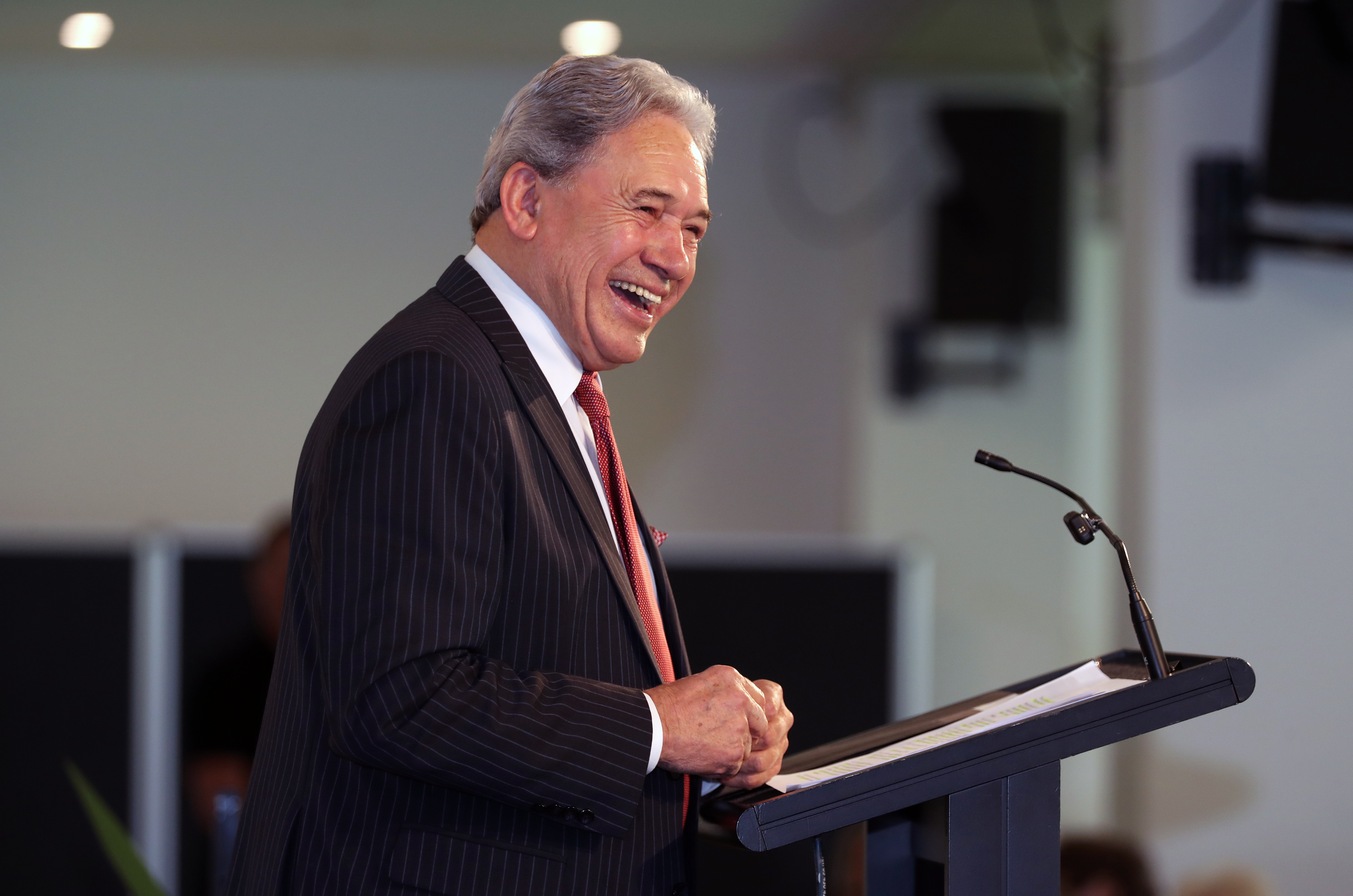 New Zealand First leader Winston Peters.
Photo / Michael Cunningham