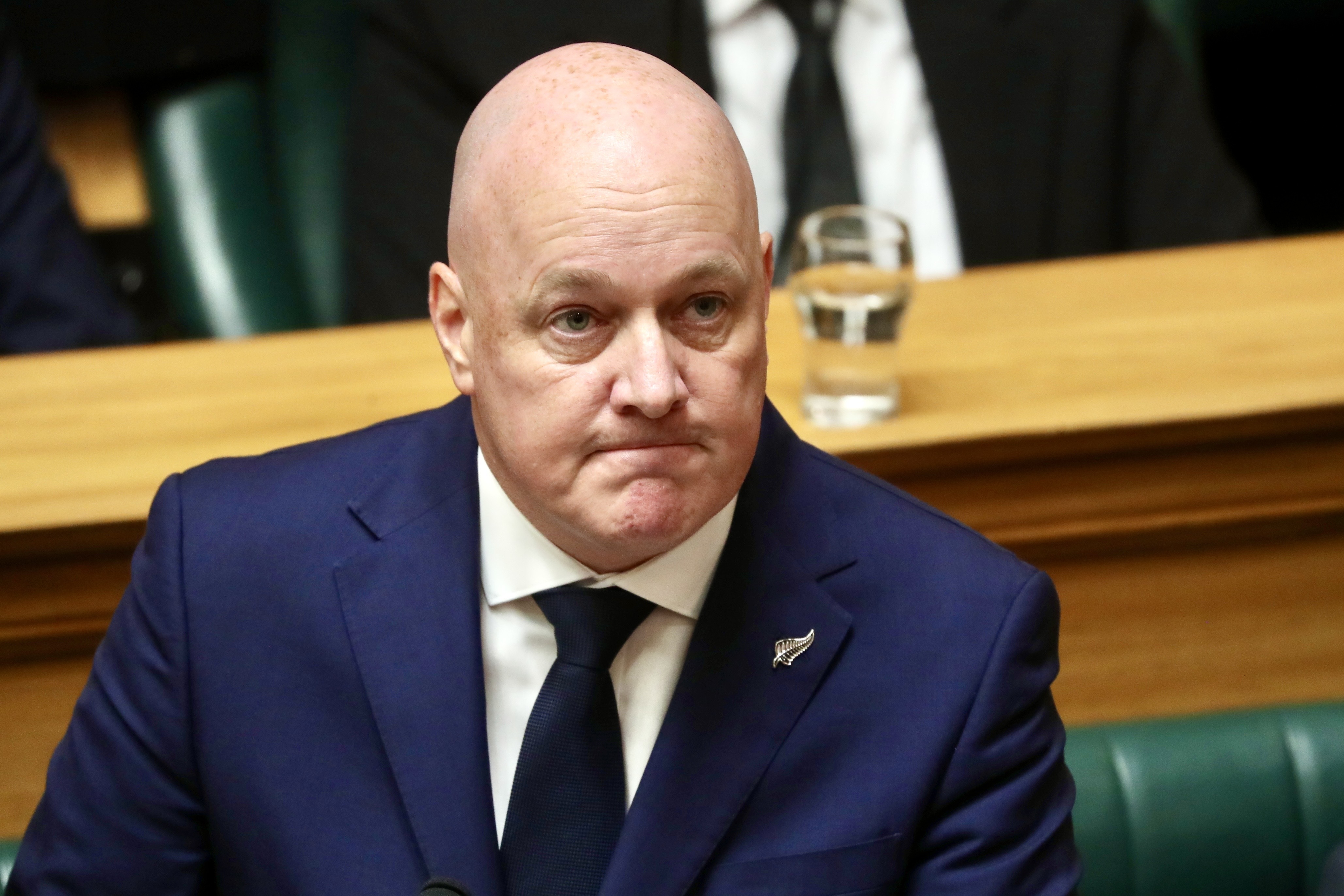 Prime Minister Christopher Luxon. Photo / Mark Mitchell