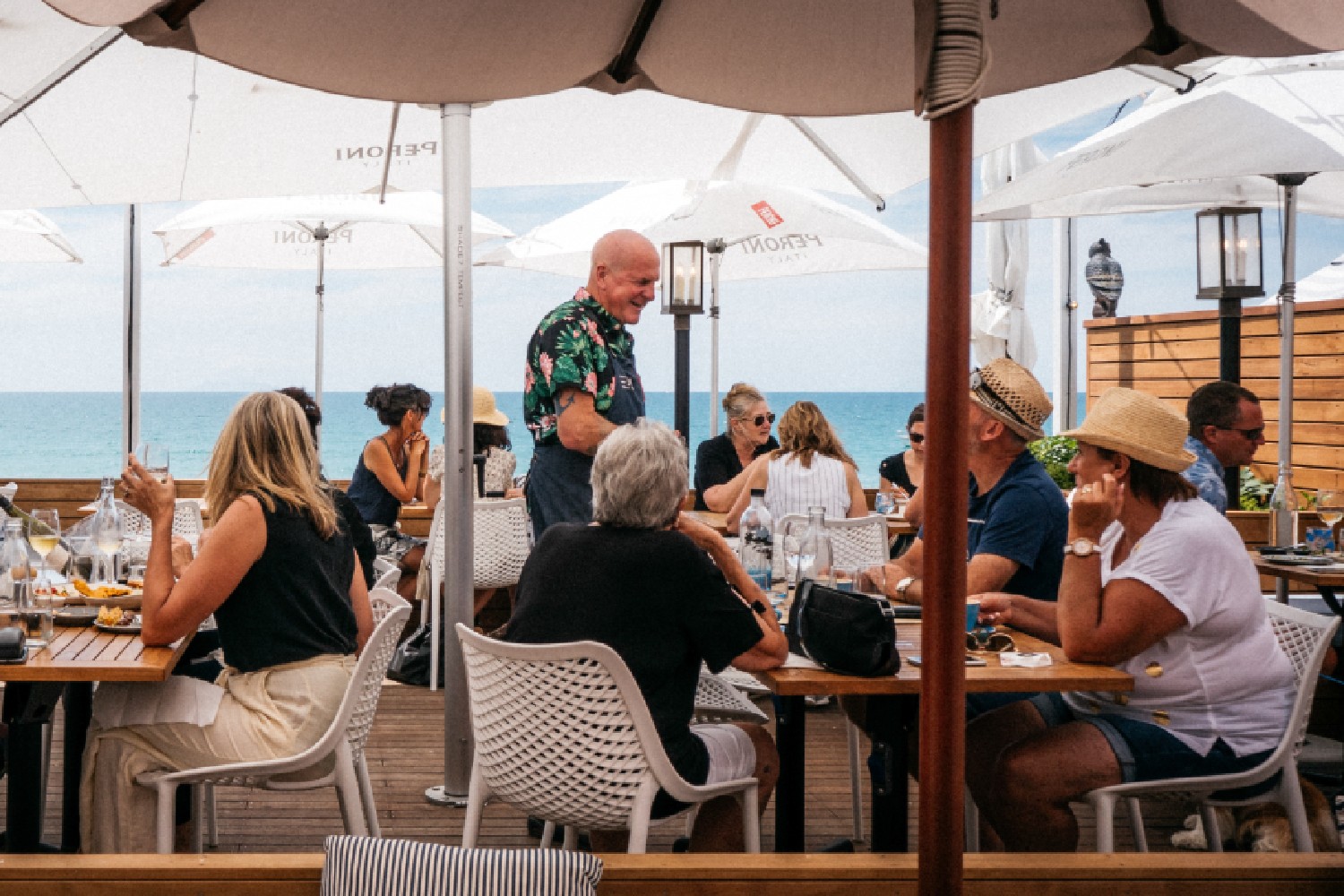 Three Seven Two, Waiheke.