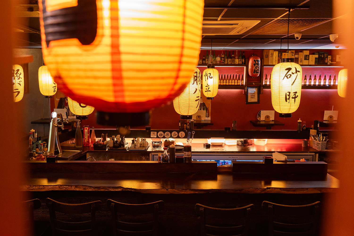 “No matter what sort of night out you’re looking for, Tanuki’s will be a pretty good start,” says Jesse Mulligan. Photo / Babiche Martens