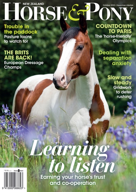 Horse & Pony magazine has been at the centre of a legal battle.