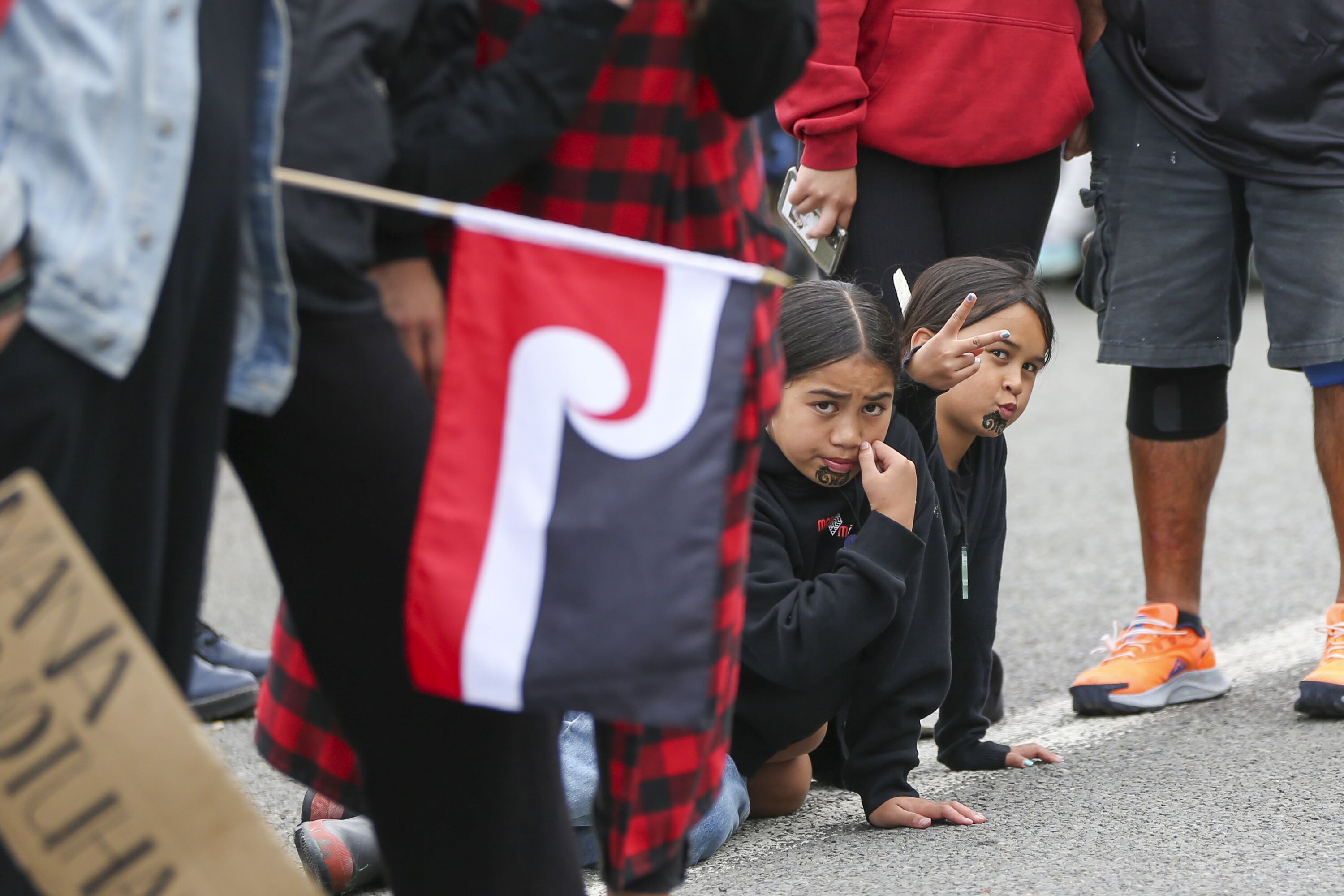 Young and old came out for the protest. Photo / Paul Taylor
