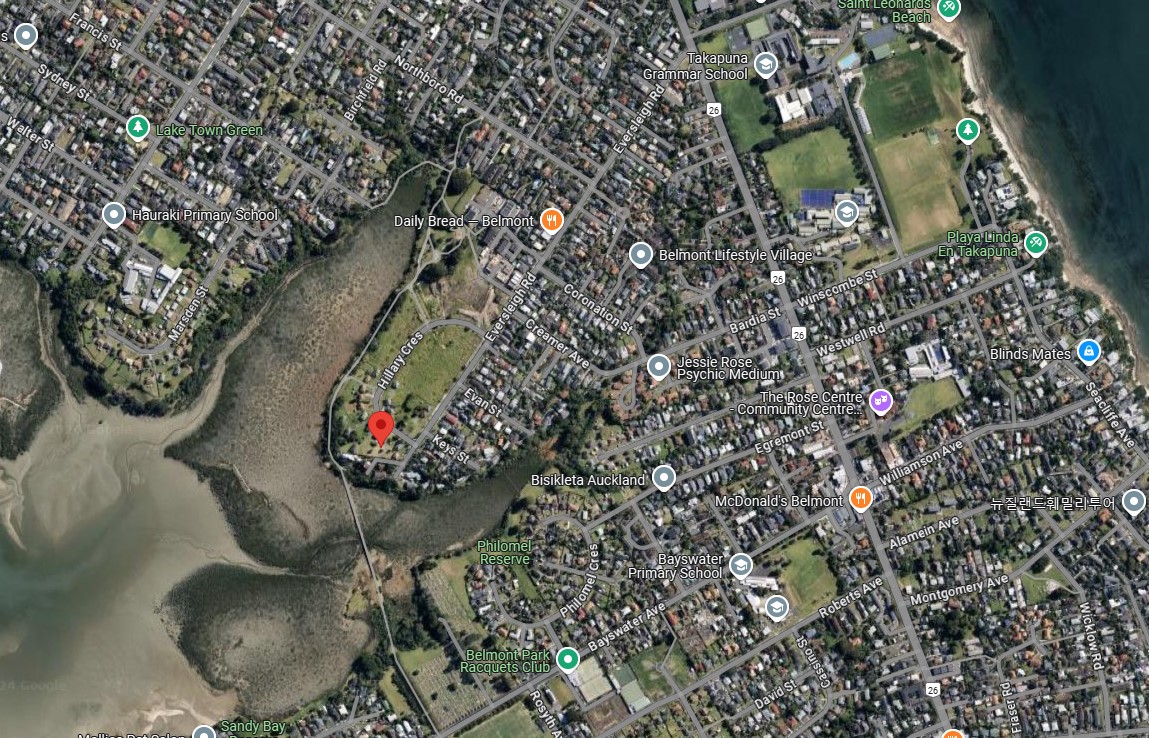 The block of land whose addresses include 65 Hillary Cres at Belmont. Summerset bought this from Ngāti Whātua. Photo / Google Maps
