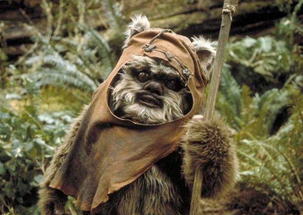 Wicket, an Ewok