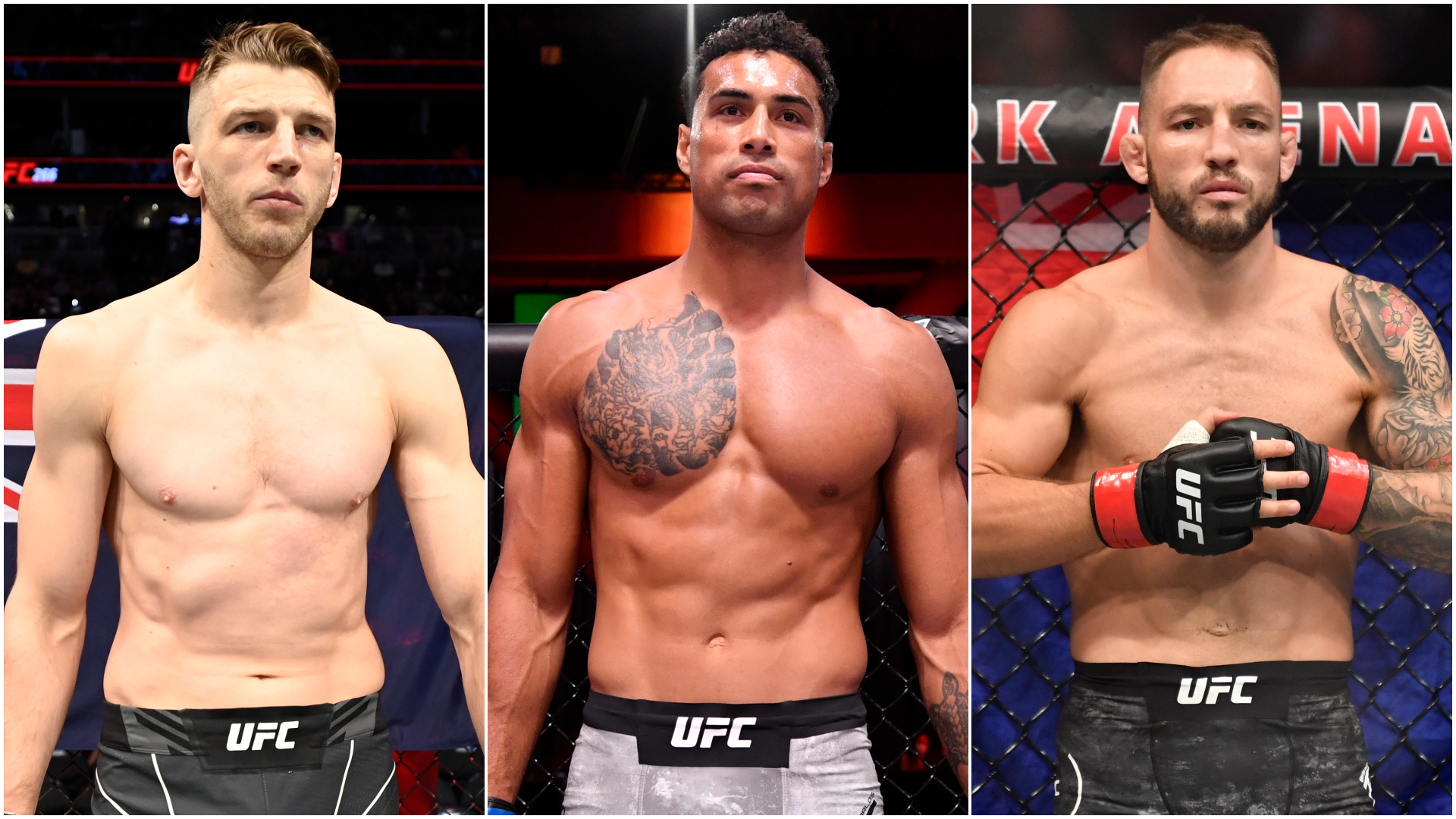 UFC 281 Kiwi trio Carlos Ulberg, Dan Hooker, Brad Riddell join Israel Adesanya on UFC 281 card