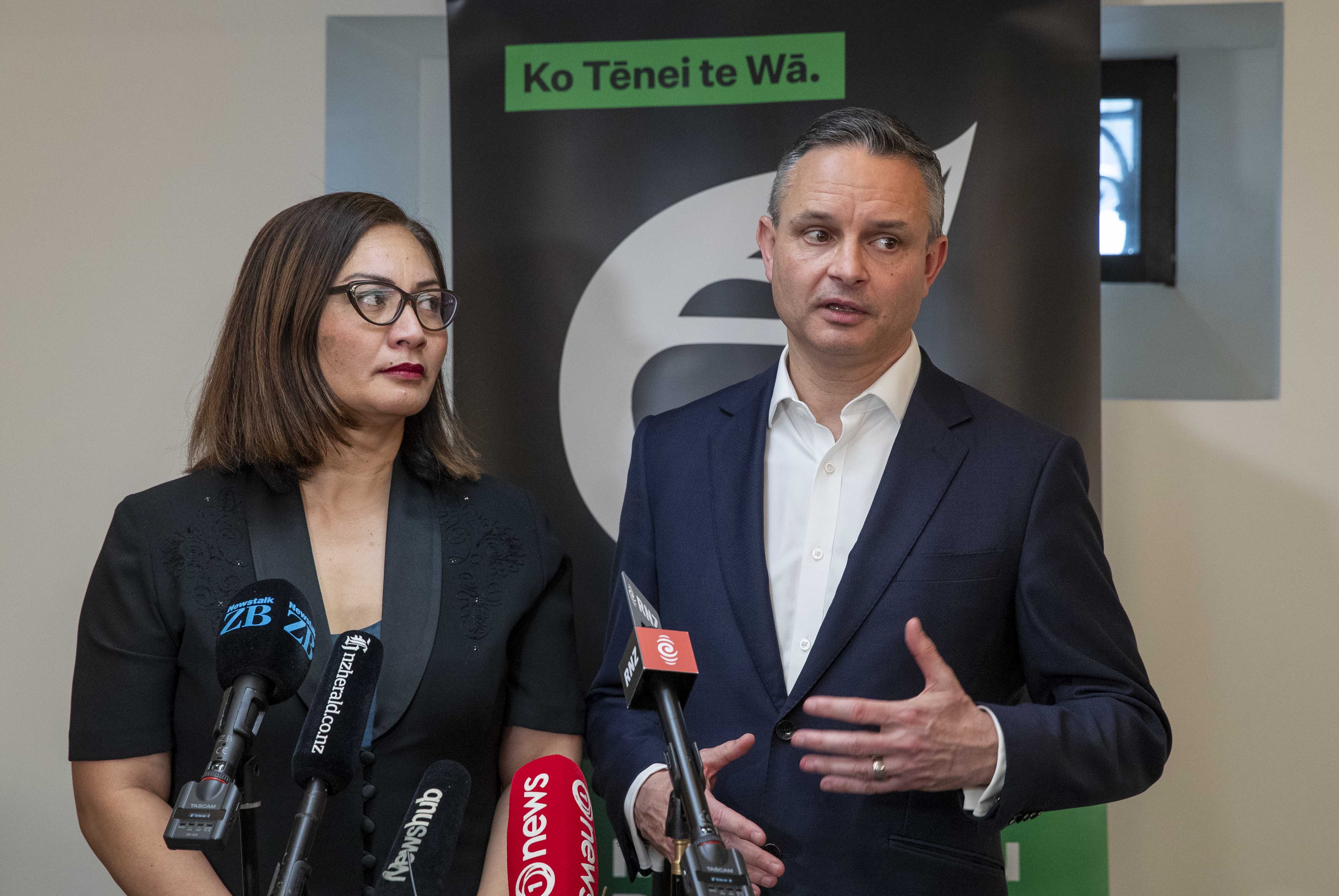 Greens co-leaders Marama Davidson and James Shaw. Photo / Mark Mitchell