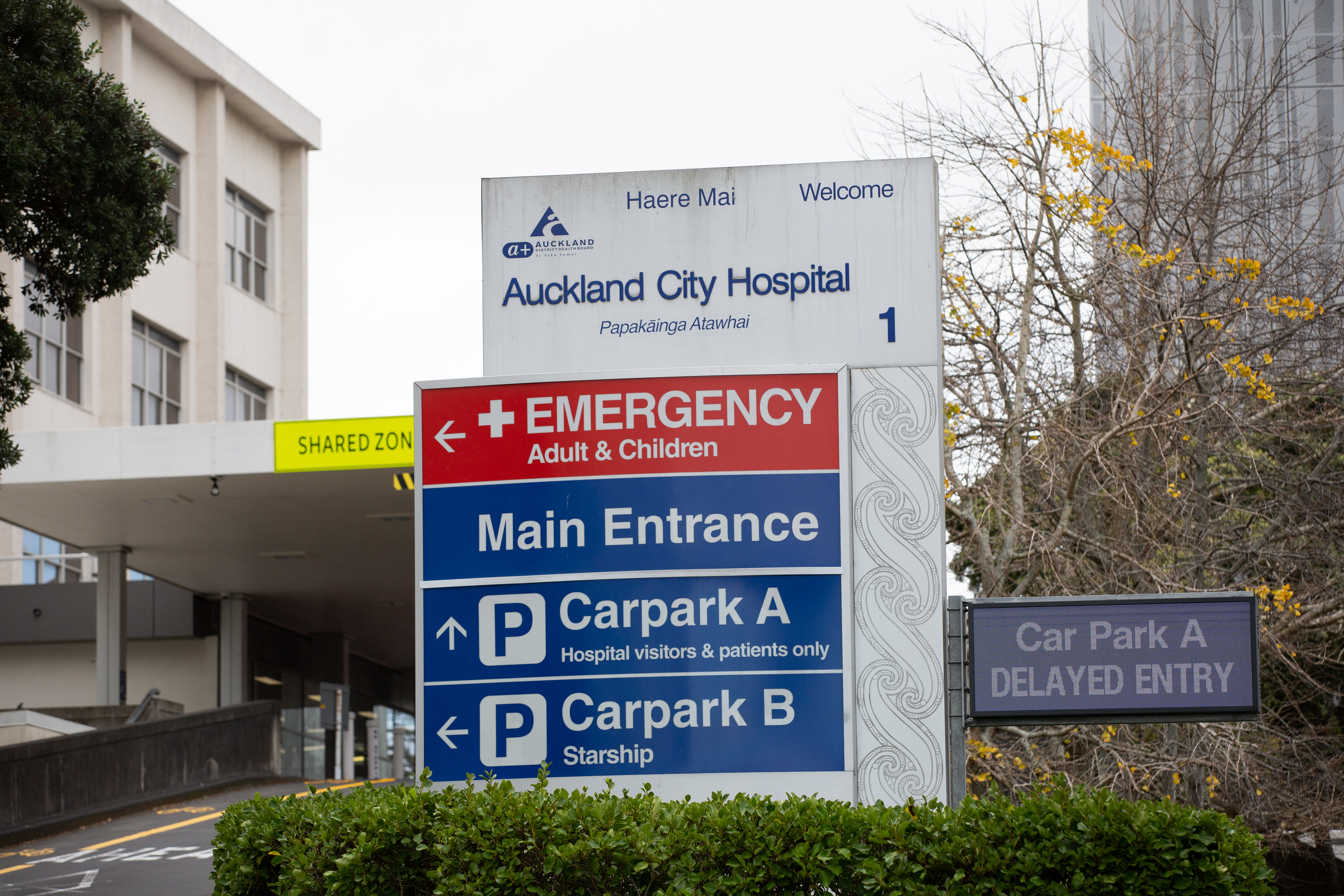 Auckland Hospital in Grafton. Photo / Sylvie Whinray