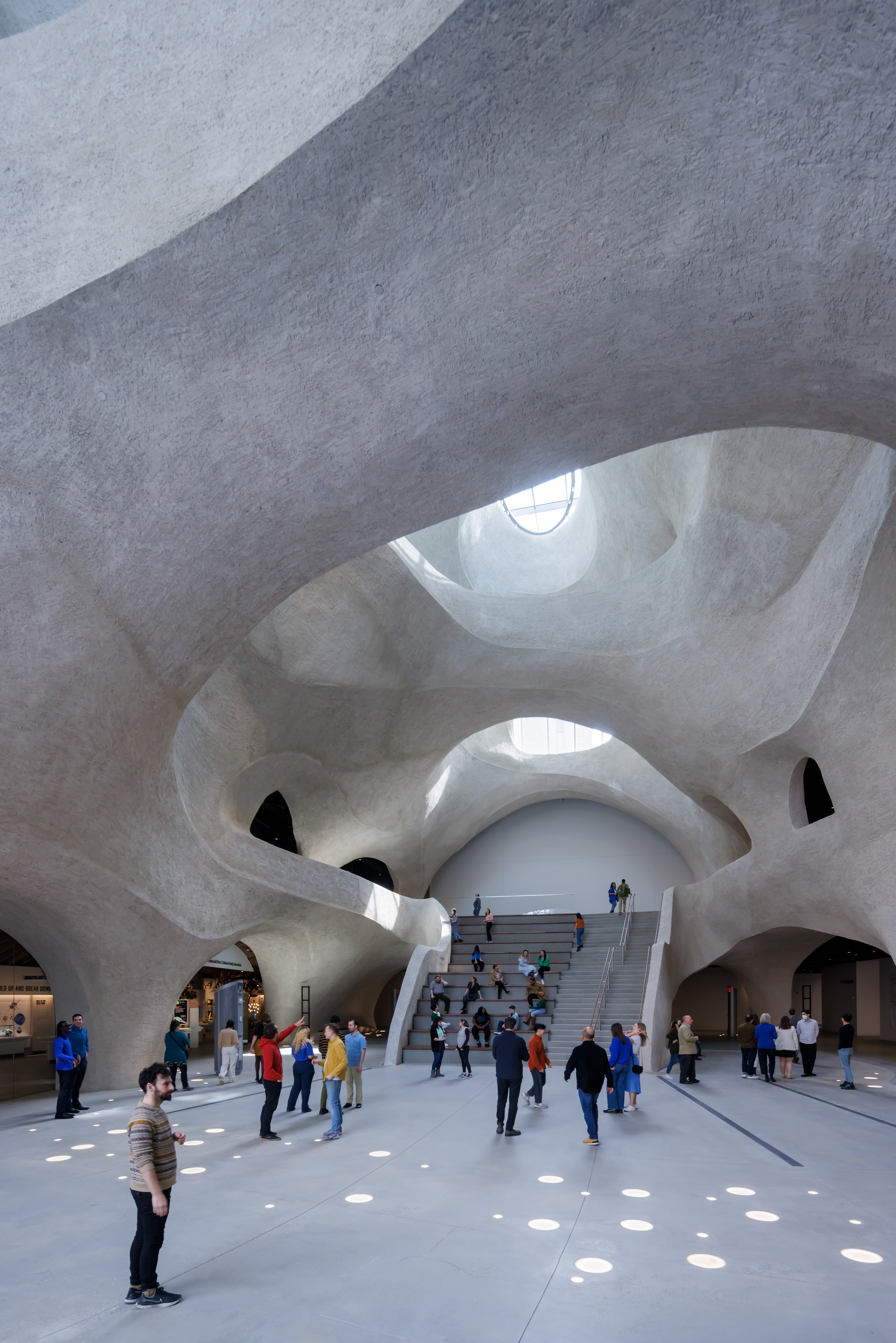 The Richard Gilder Centre for Science, Education and Innovation, a stunning 21,000sq m expansion to the American Museum of Natural History in New York, featuring a massive cave-like atrium with geologically inspired curving concrete walls.