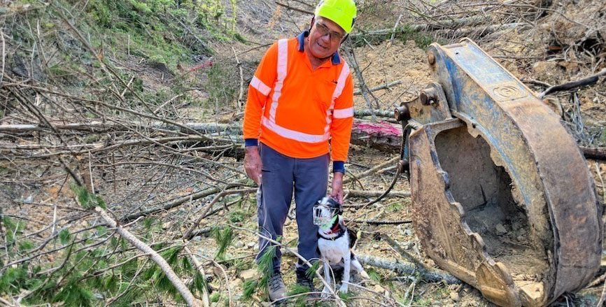 Department of Conservation ranger Steve McManus with kiwi sniffer dog Pearl, who's tasked with locating kiwi that might be at risk from roading work being done in the Brynderwyns. Photo / Supplied