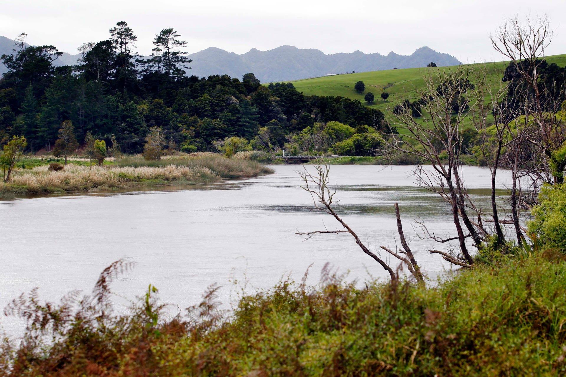 The Wairoa River which winds its way from the Whangārei District past Dargaville to the Kaipara Harbour. Upgrades to stopbanks should help protect Dargaville and farm land either side of the river, south to Te Kōpuru, during severe storms. Photo / NZME
