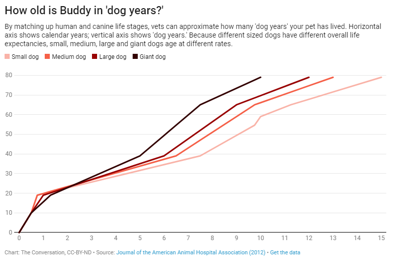 is cat years the same as dog years