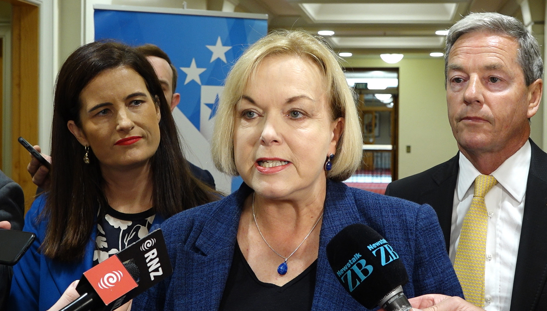 National leader Judith Collins is calling for the Government to reveal its position on a report with recommendations for greater Māori governance. Photo / File
