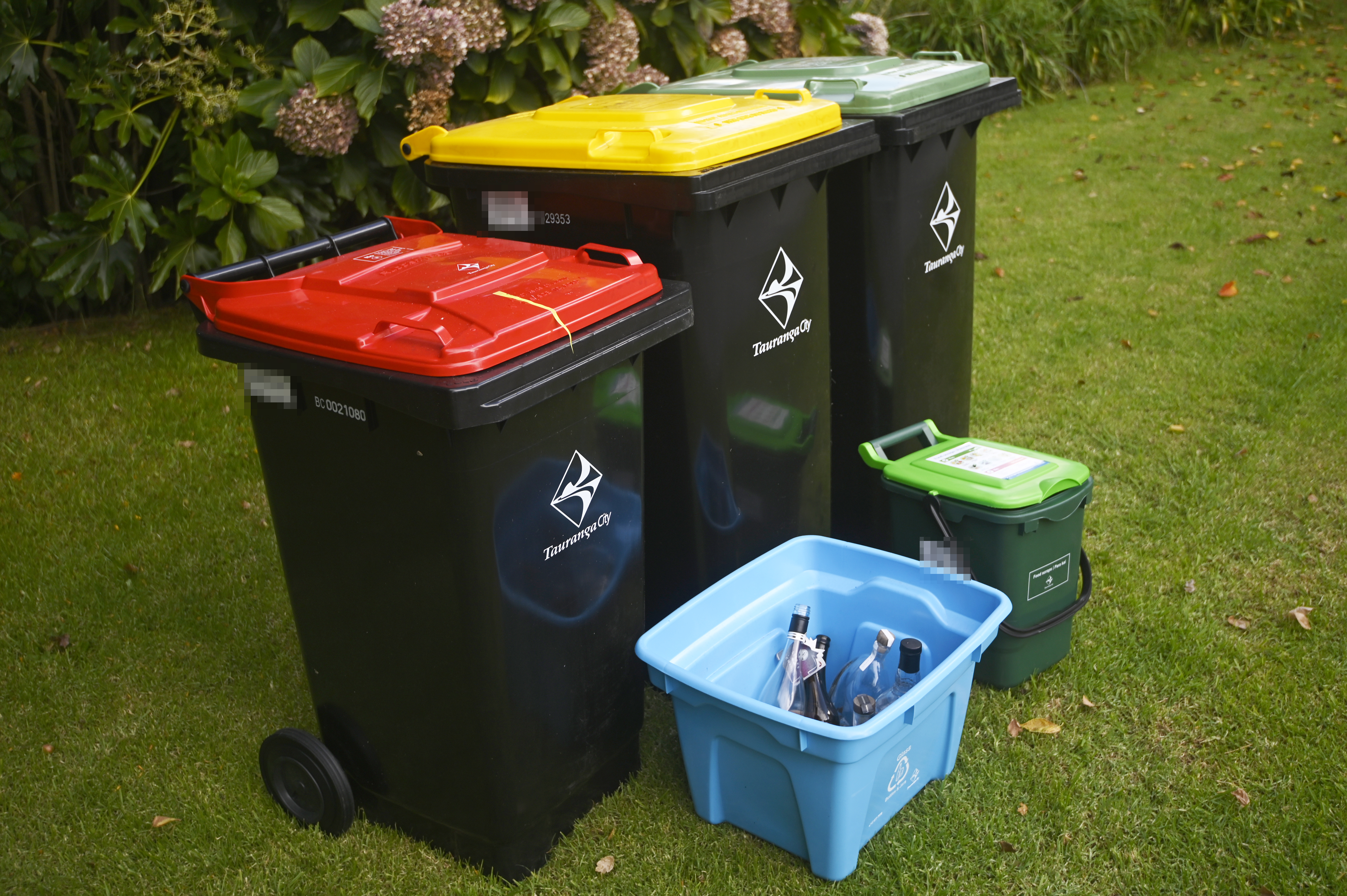 Auckland Council suggest a trial for fortnightly pick-ups could start in 2026. Photo / George Novak